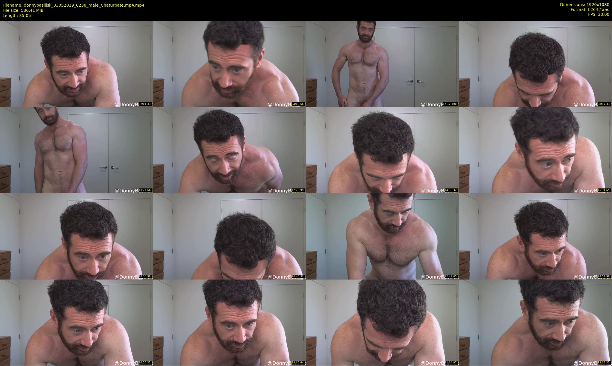 donnybasilisk — 36 minute Chaturbate male cam show recording, 1080p, May 3, 2019