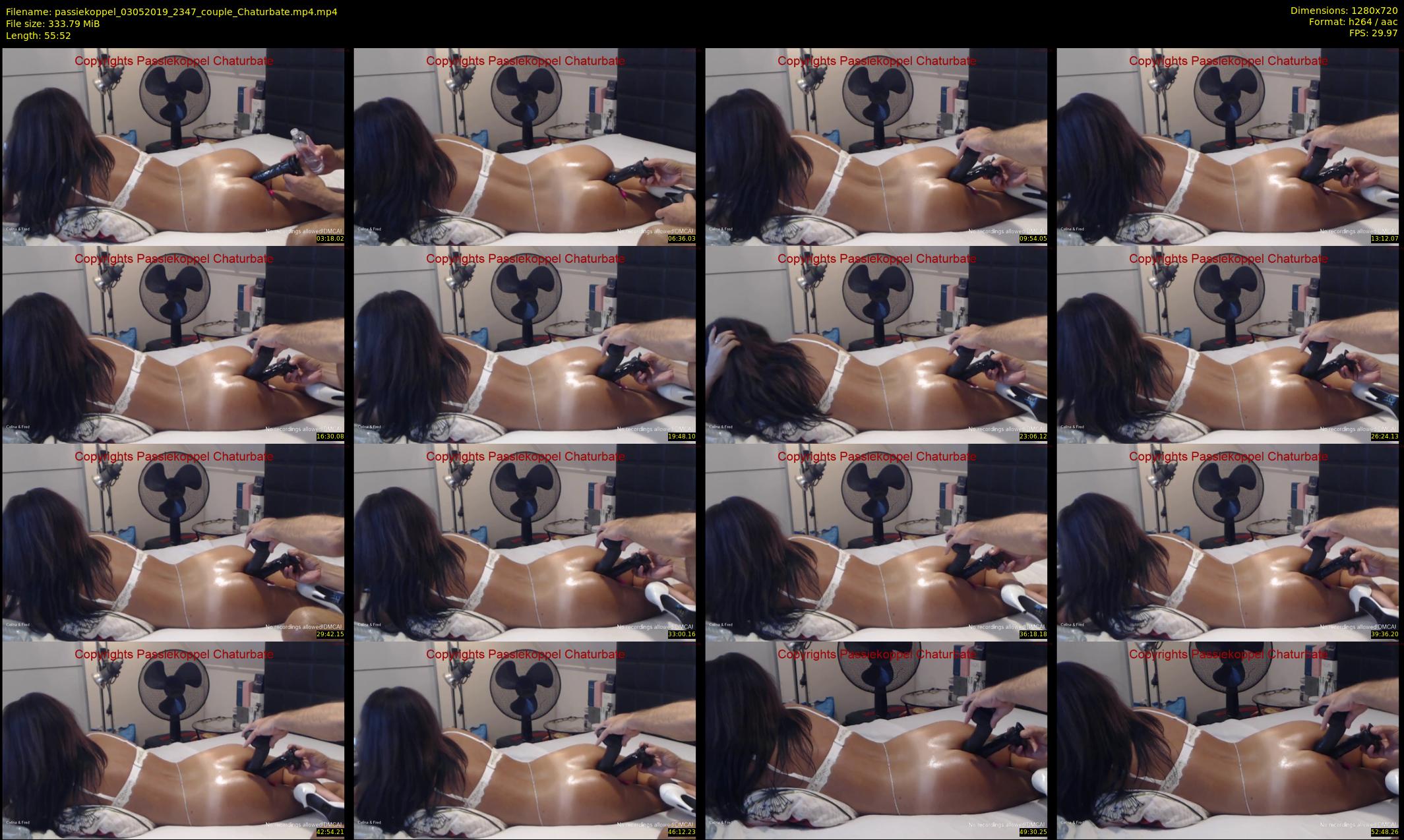 passiekoppel — 56 minute Chaturbate couple cam show recording, 720p, May 3, 2019