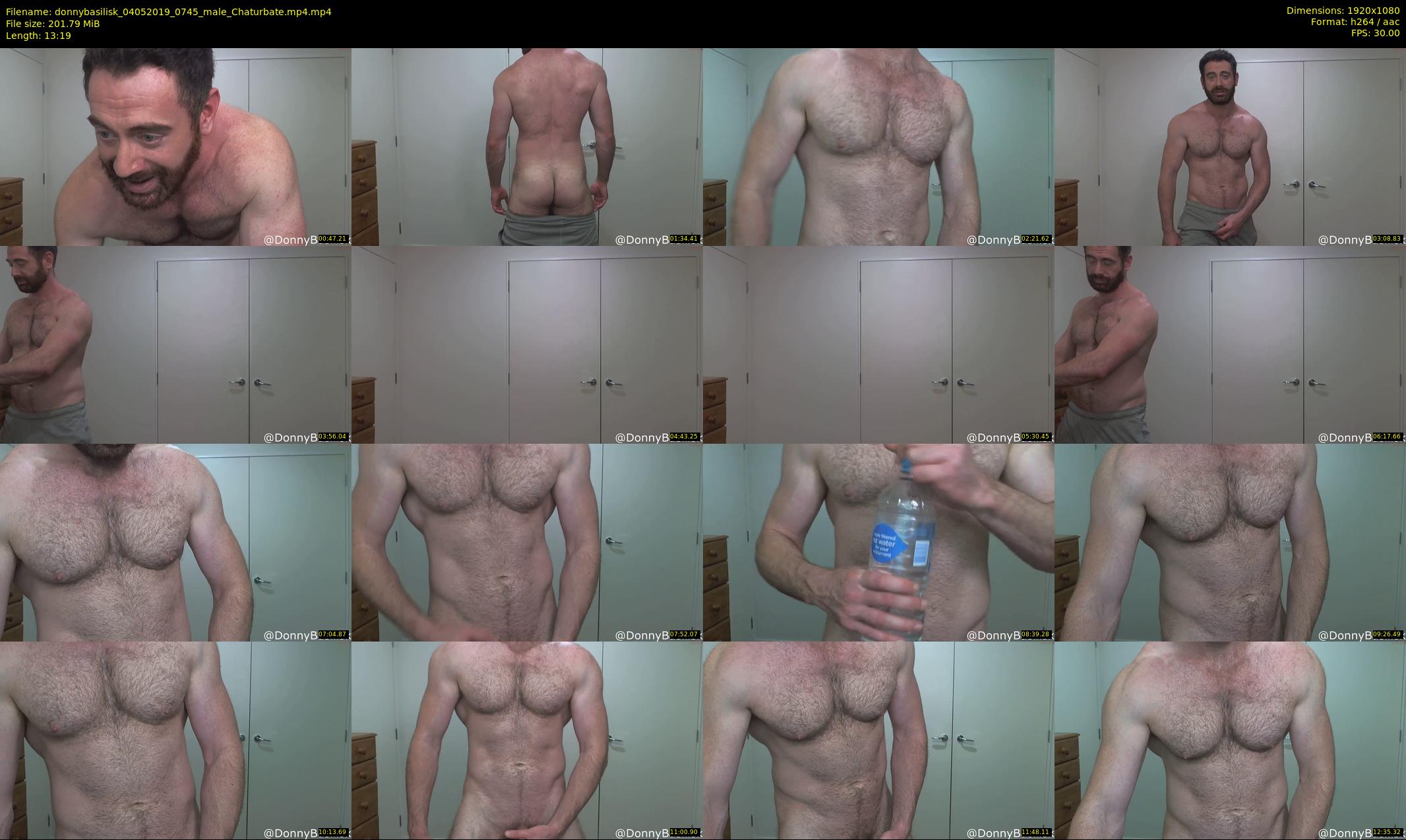 donnybasilisk — 14 minute Chaturbate male cam show recording, 1080p, May 4, 2019