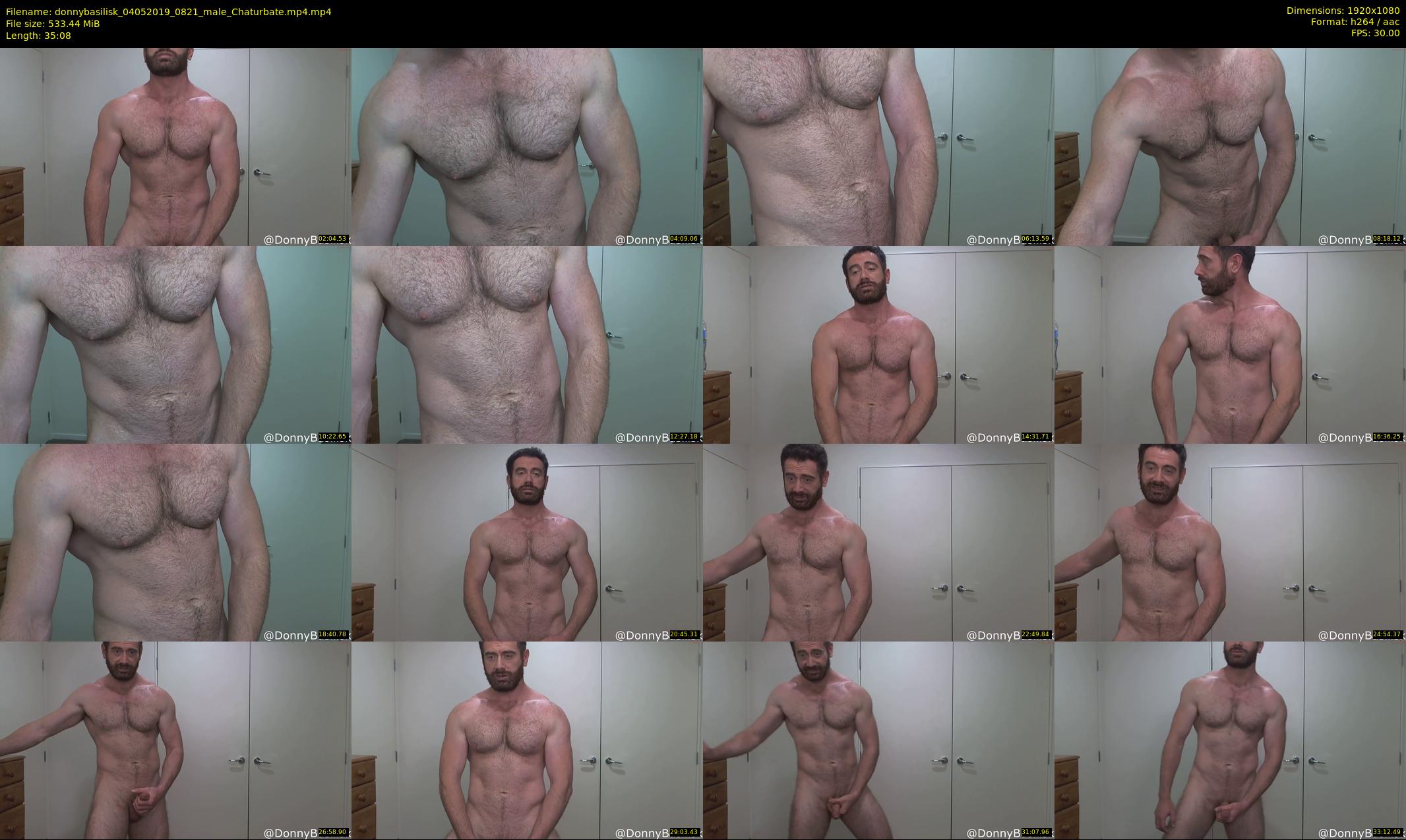donnybasilisk — 36 minute Chaturbate male cam show recording, 1080p, May 4, 2019
