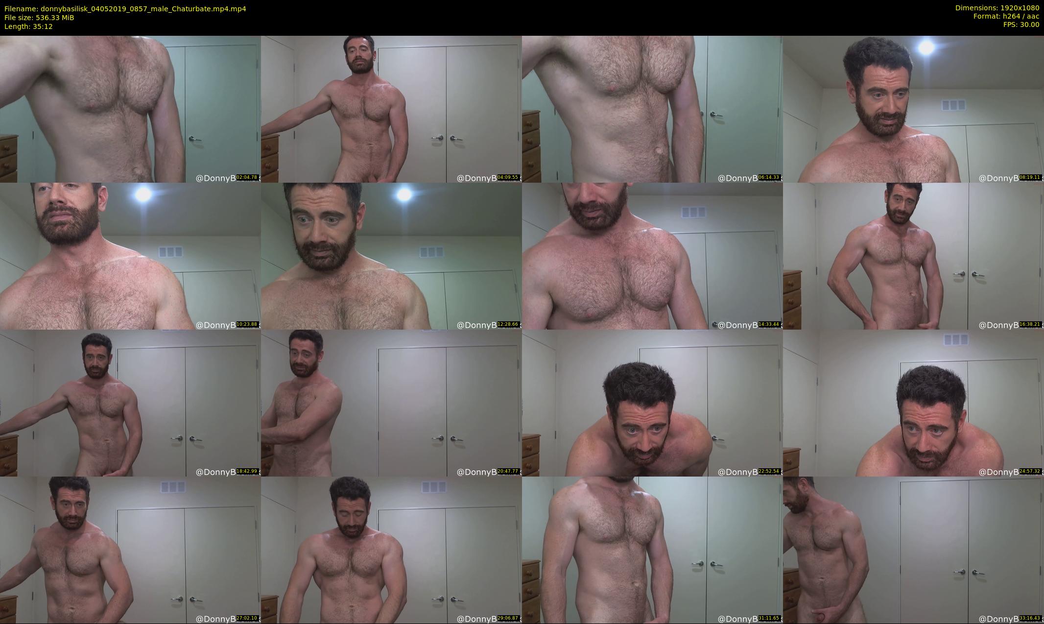 donnybasilisk — 36 minute Chaturbate male cam show recording, 1080p, May 4, 2019