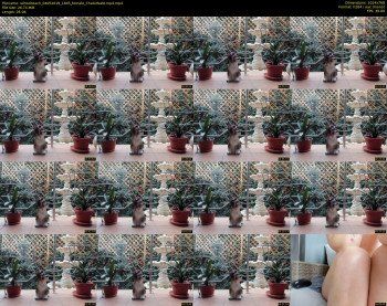 schoolteach — 6 minute Chaturbate female cam show recording, 720p, May 4, 2019