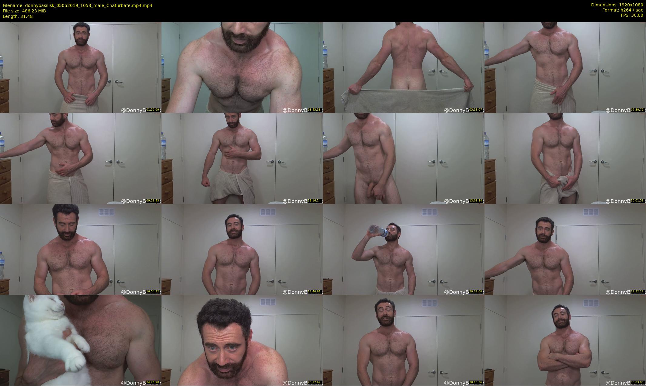 donnybasilisk — 32 minute Chaturbate male cam show recording, 1080p, May 5, 2019