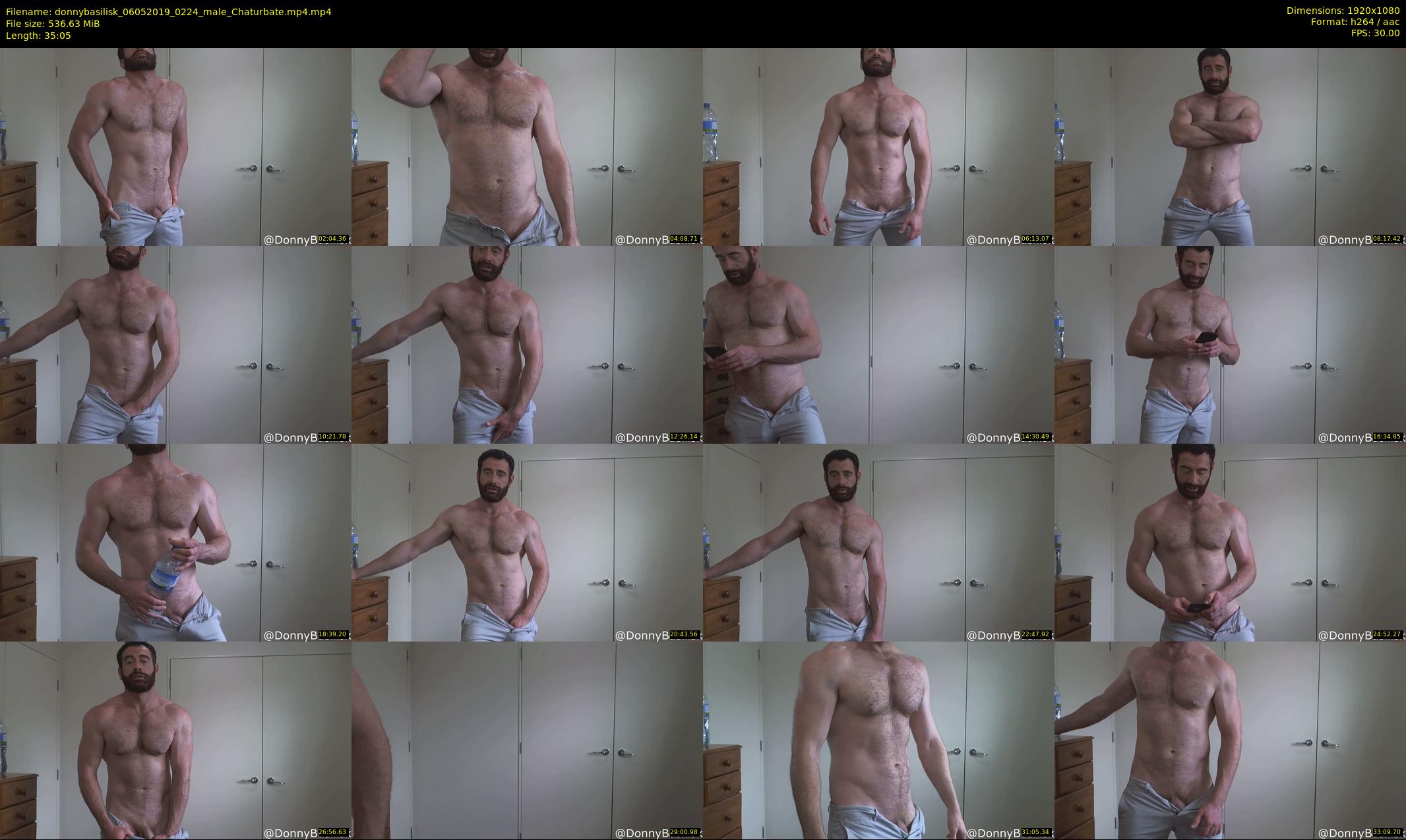 donnybasilisk — 36 minute Chaturbate male cam show recording, 1080p, May 6, 2019