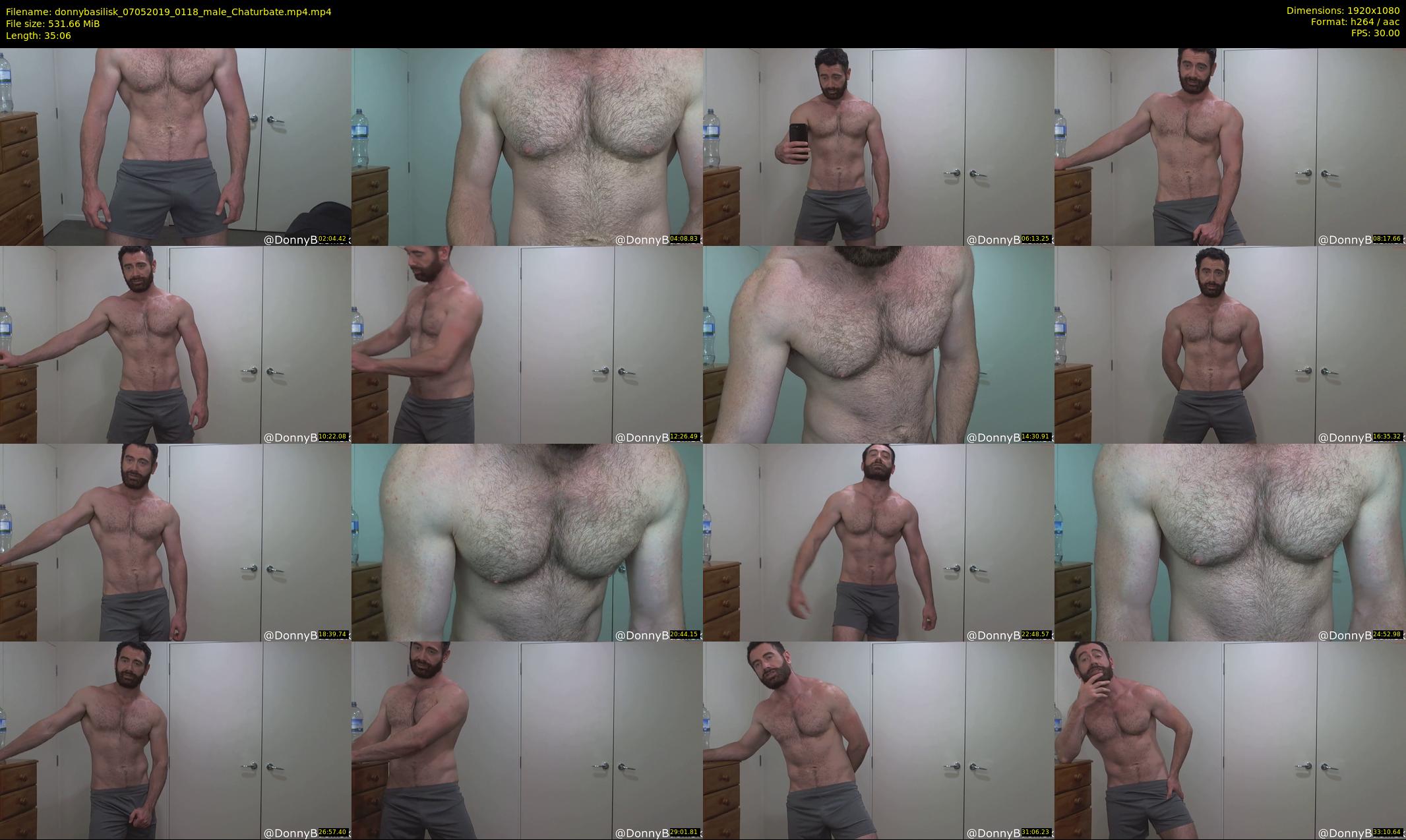 donnybasilisk — 36 minute Chaturbate male cam show recording, 1080p, May 7, 2019