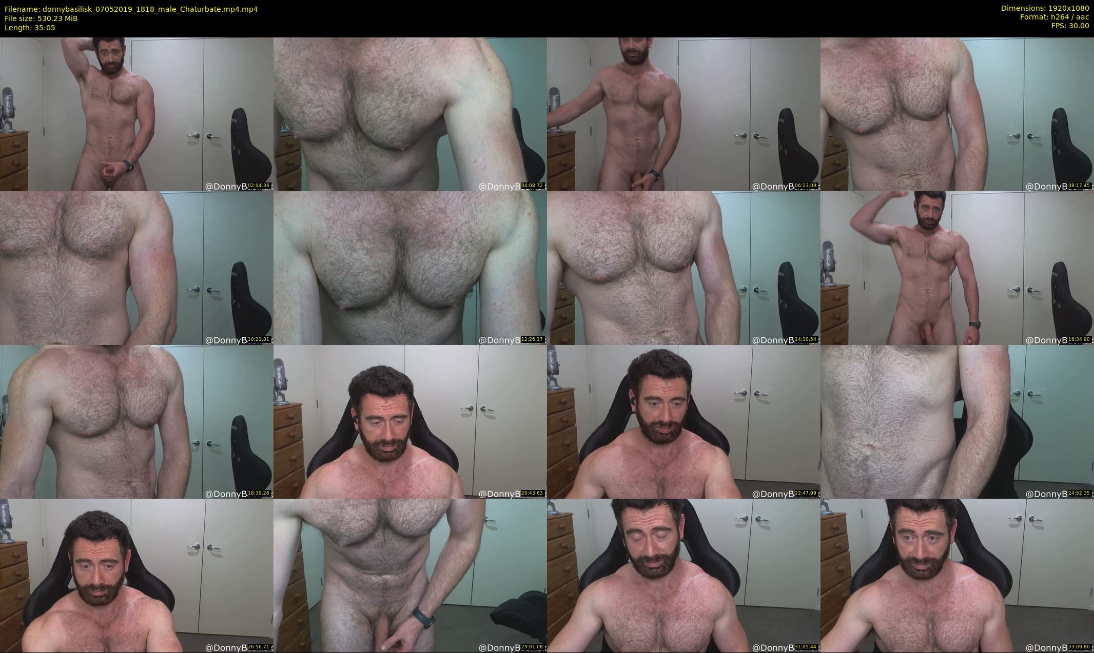 donnybasilisk — 36 minute Chaturbate male cam show recording, 1080p, May 7, 2019
