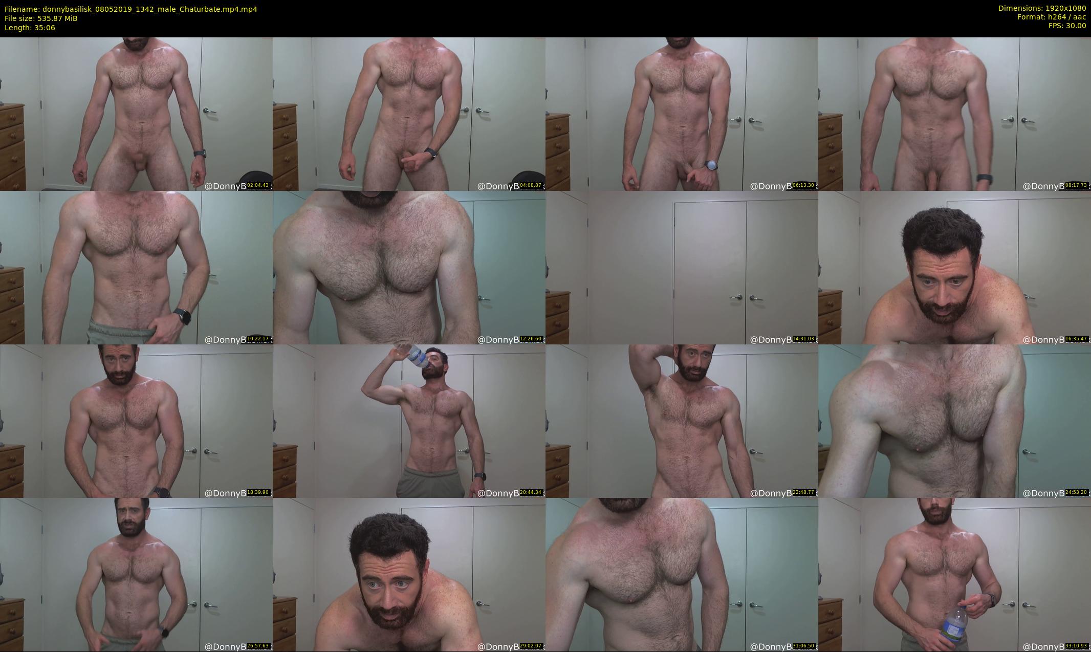 donnybasilisk — 36 minute Chaturbate male cam show recording, 1080p, May 8, 2019