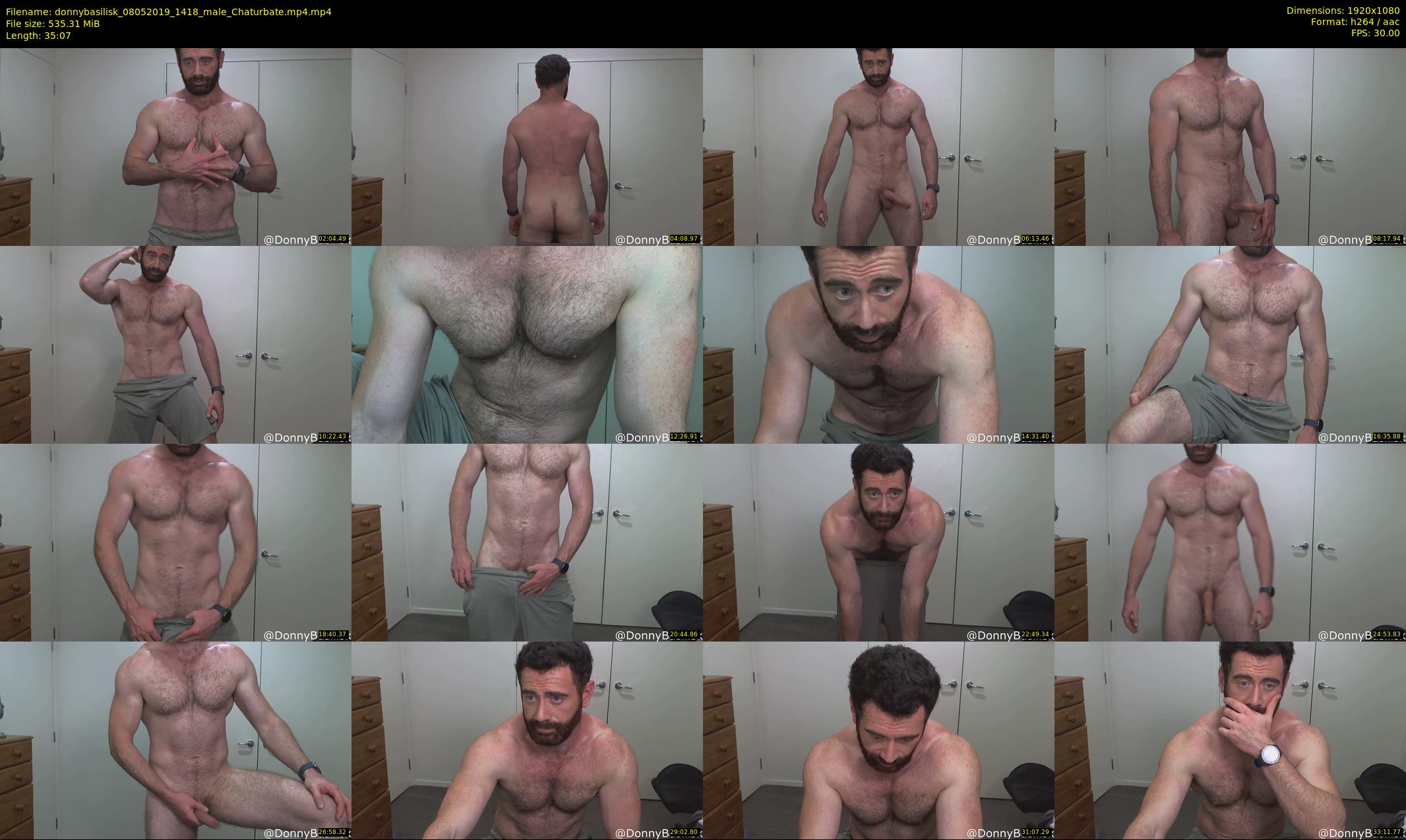 donnybasilisk — 36 minute Chaturbate male cam show recording, 1080p, May 8, 2019