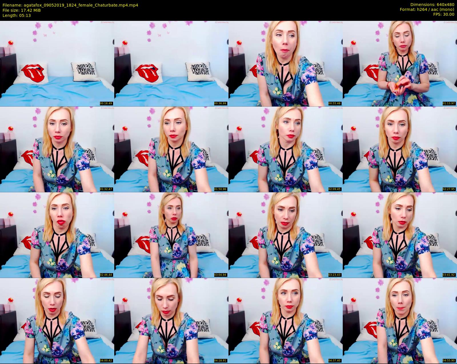 agatafox — 6 minute Chaturbate female cam show recording, 480p, May 9, 2019