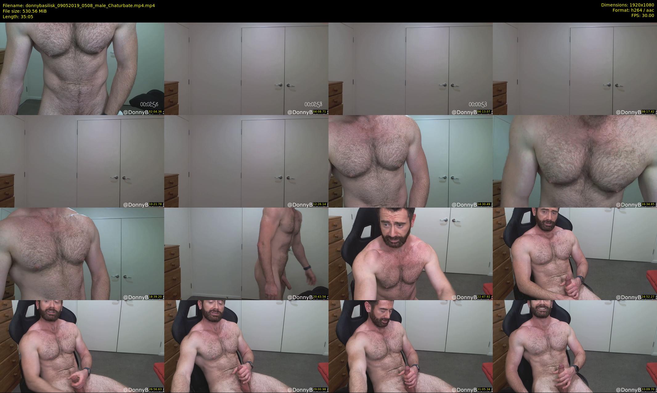 donnybasilisk — 36 minute Chaturbate male cam show recording, 1080p, May 9, 2019