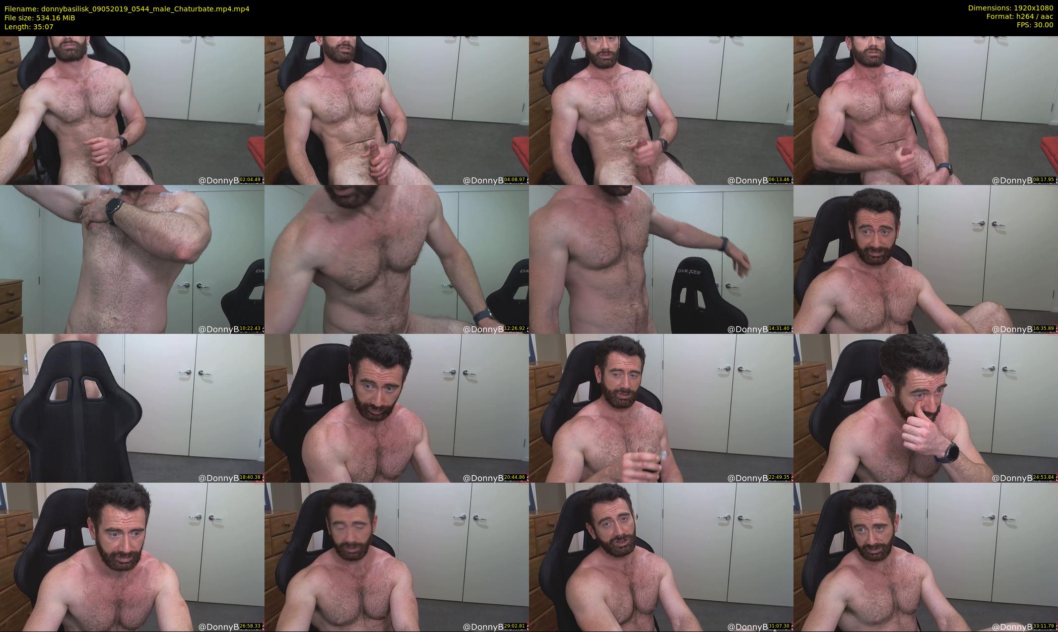 donnybasilisk — 36 minute Chaturbate male cam show recording, 1080p, May 9, 2019