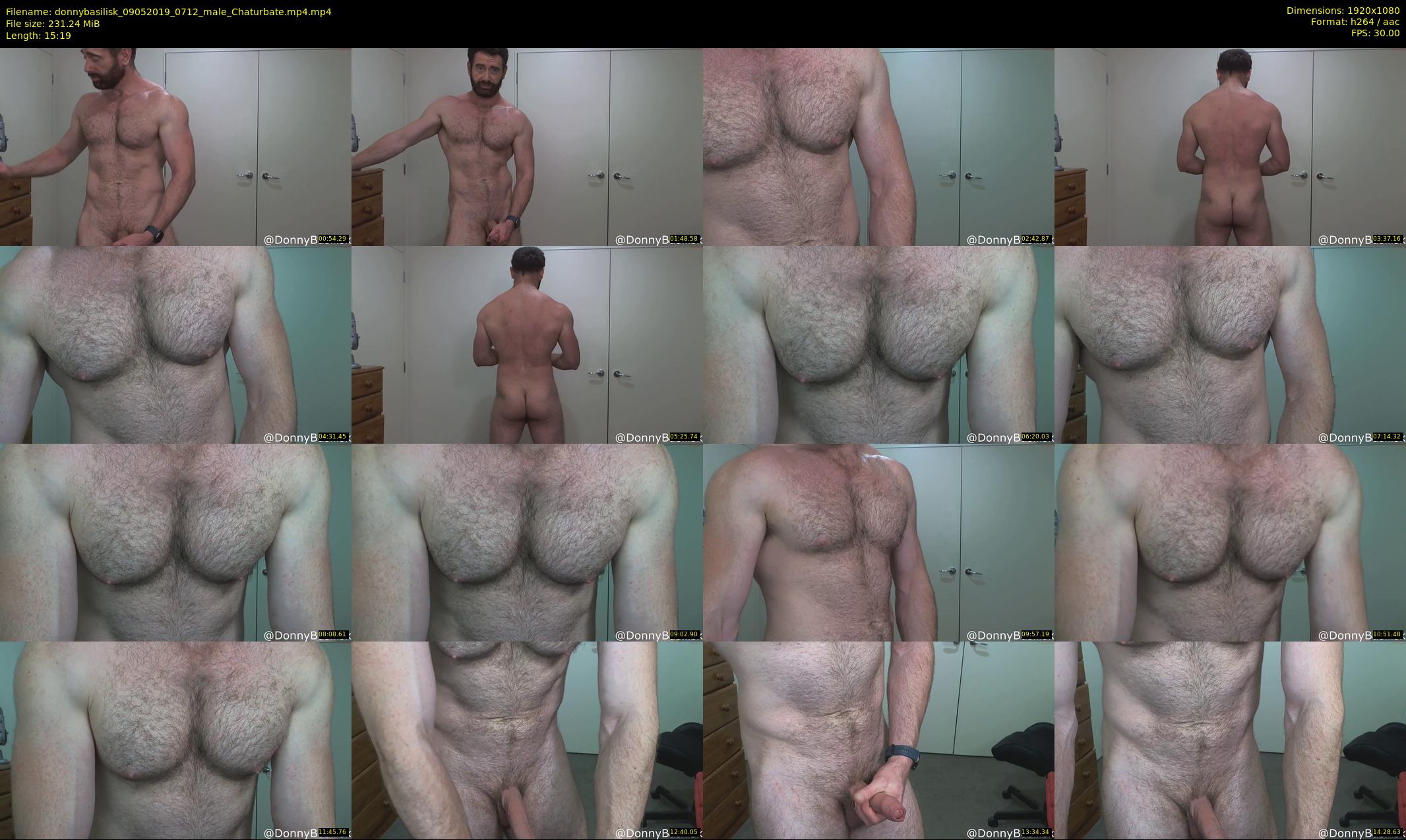 donnybasilisk — 16 minute Chaturbate male cam show recording, 1080p, May 9, 2019