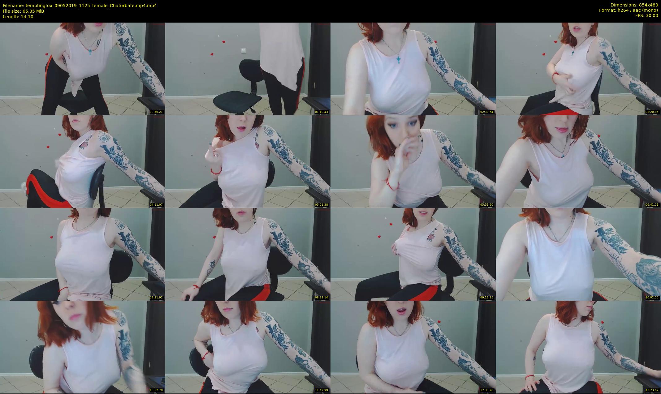 temptingfox — 15 minute Chaturbate female cam show recording, 480p, May 9, 2019