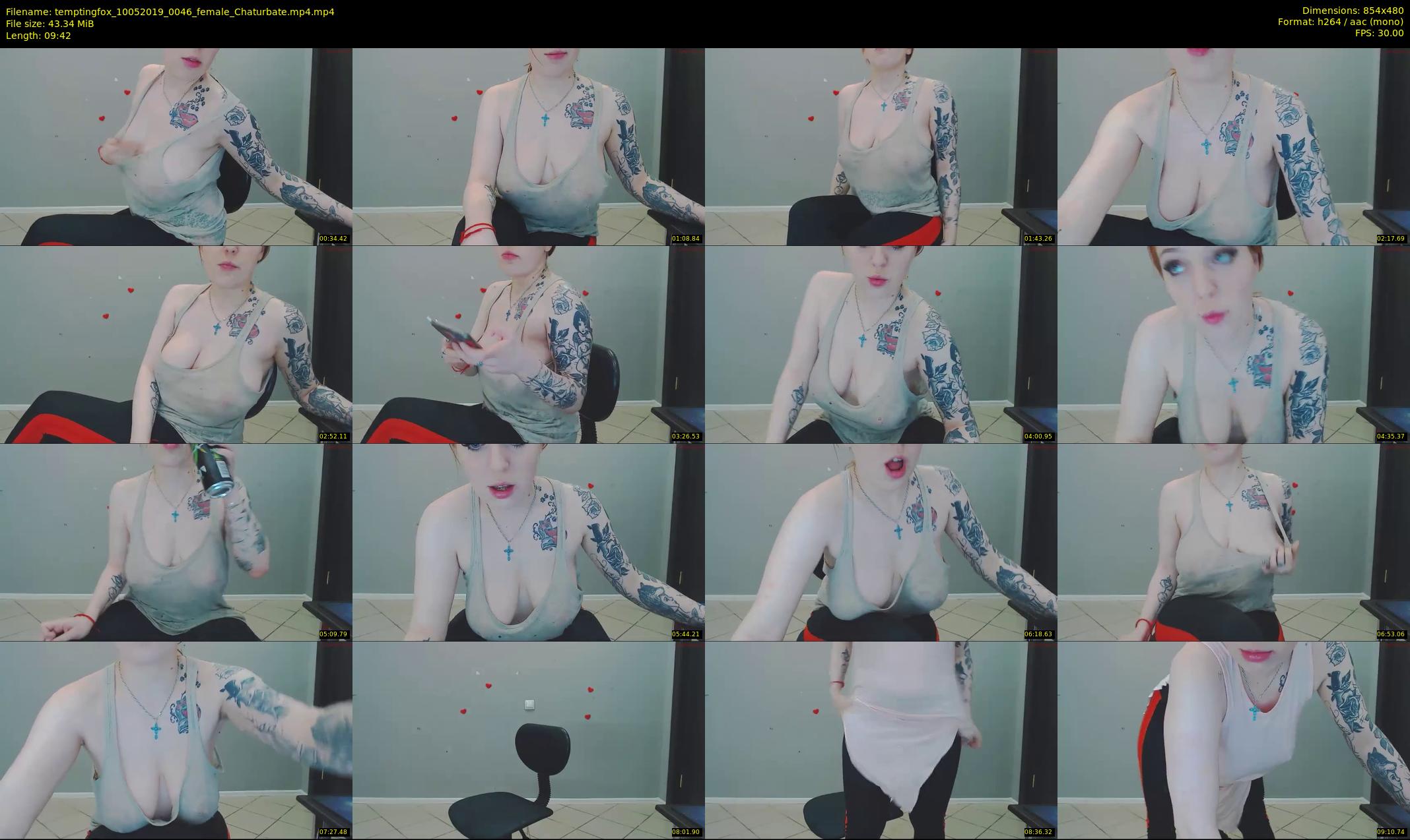 temptingfox — 10 minute Chaturbate female cam show recording, 480p, May 10, 2019