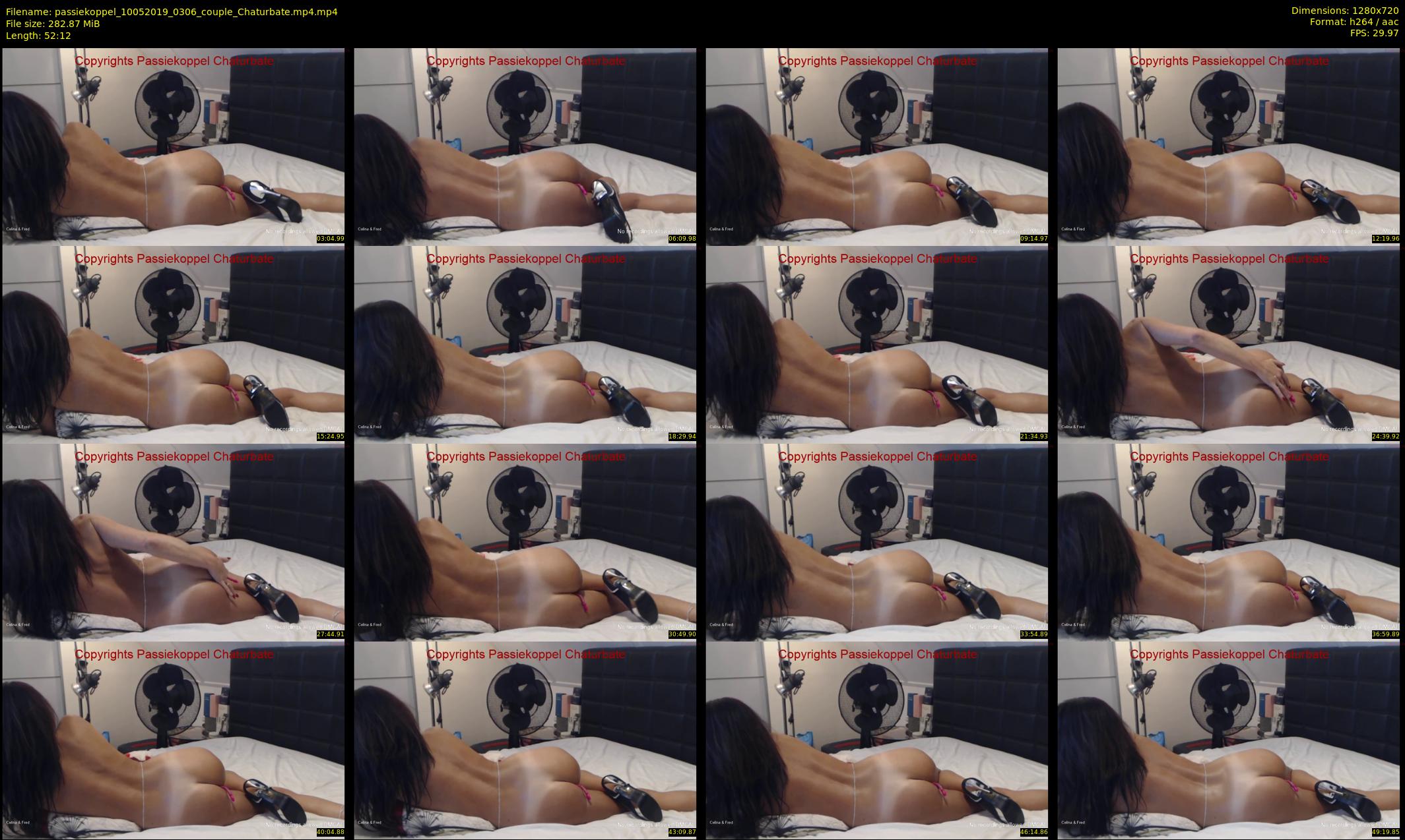 passiekoppel — 53 minute Chaturbate couple cam show recording, 720p, May 10, 2019
