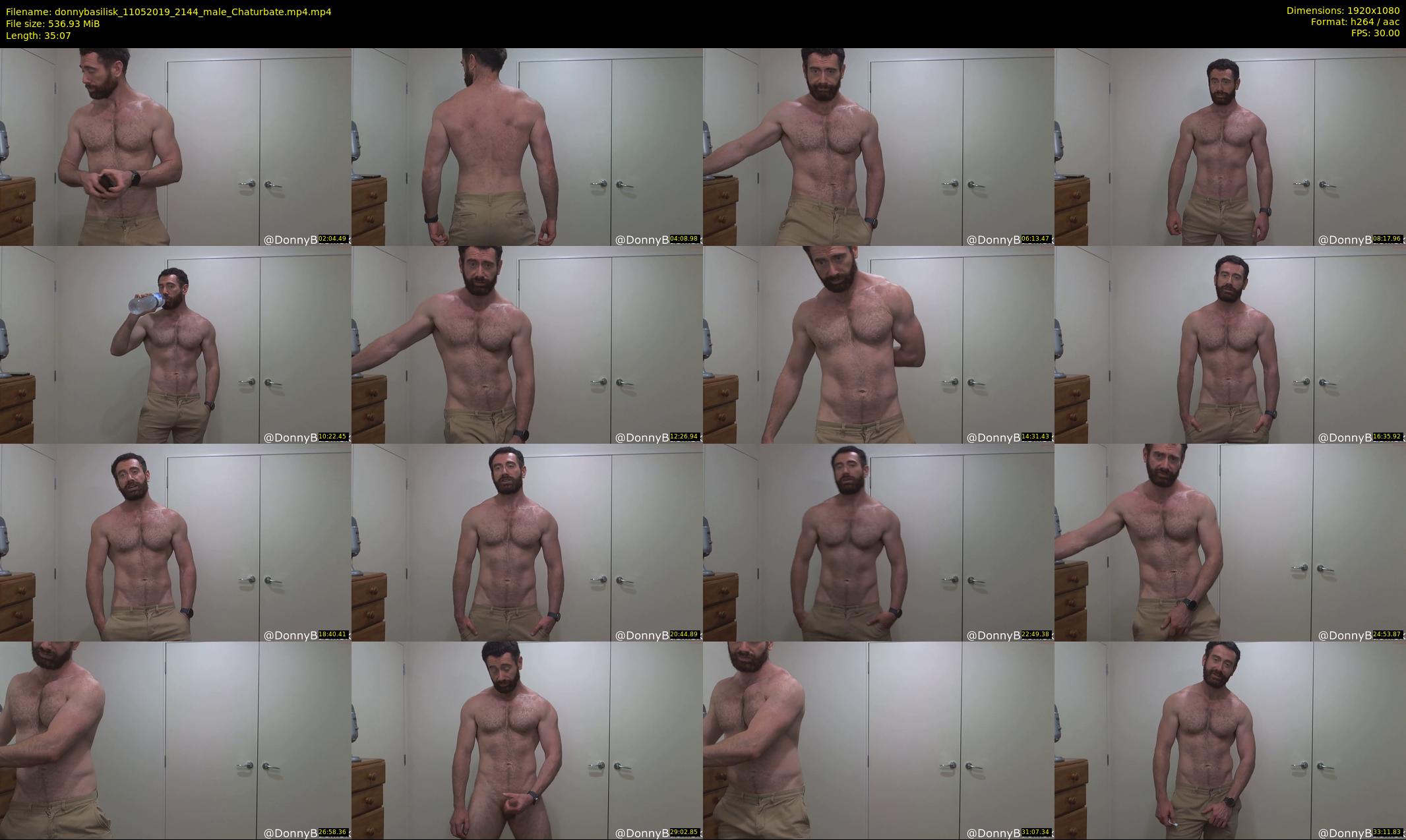 donnybasilisk — 36 minute Chaturbate male cam show recording, 1080p, May 11, 2019