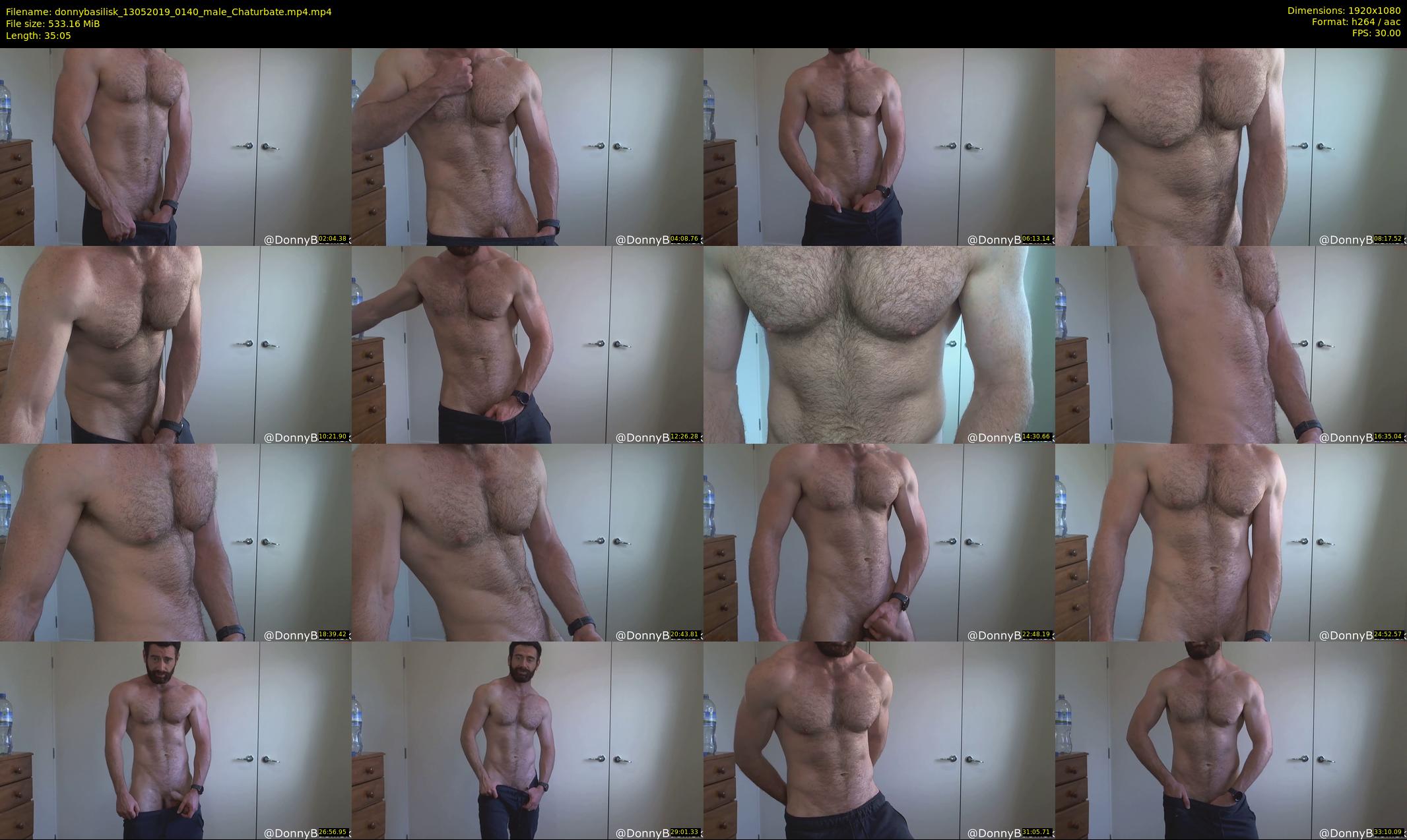 donnybasilisk — 36 minute Chaturbate male cam show recording, 1080p, May 13, 2019