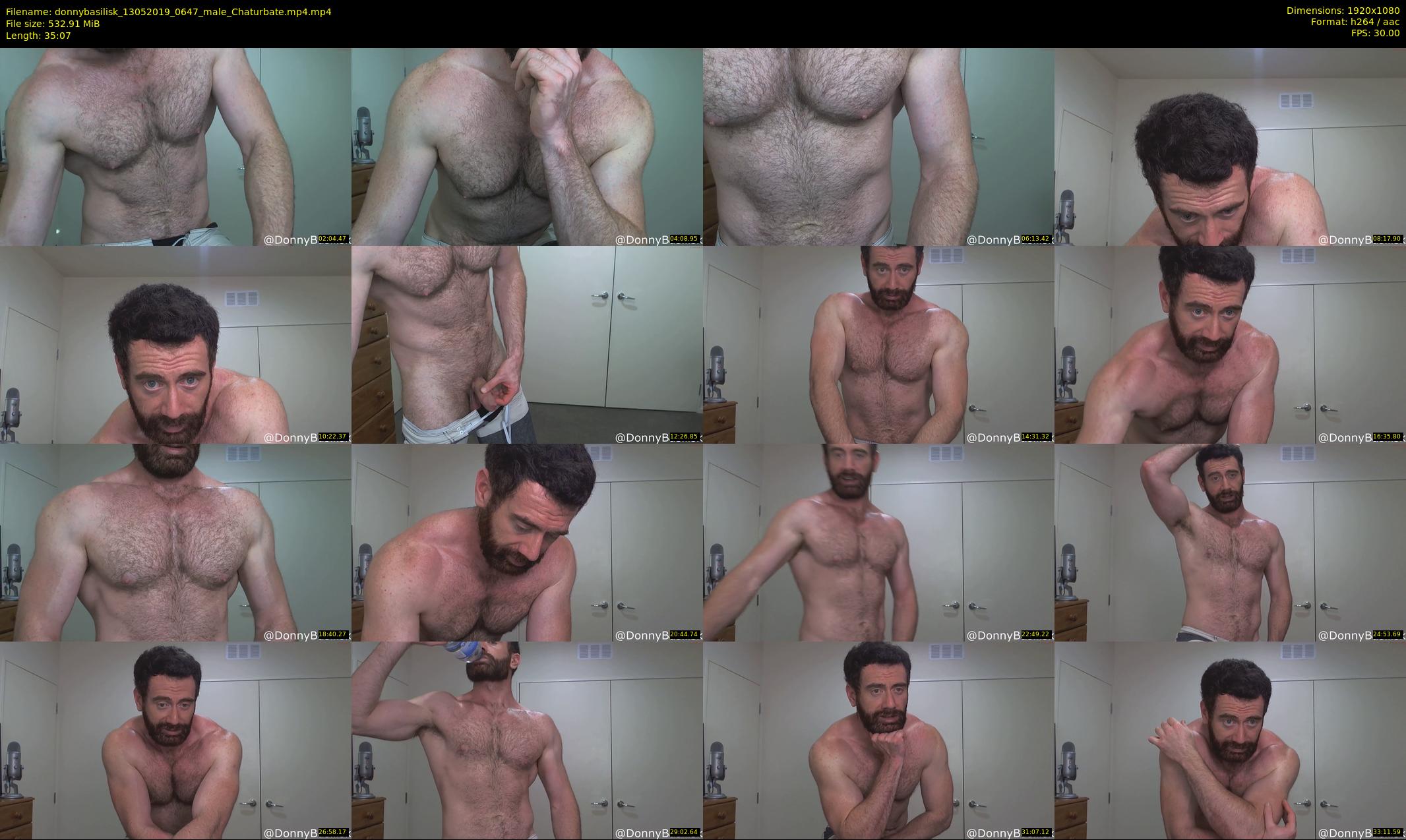 donnybasilisk — 36 minute Chaturbate male cam show recording, 1080p, May 13, 2019