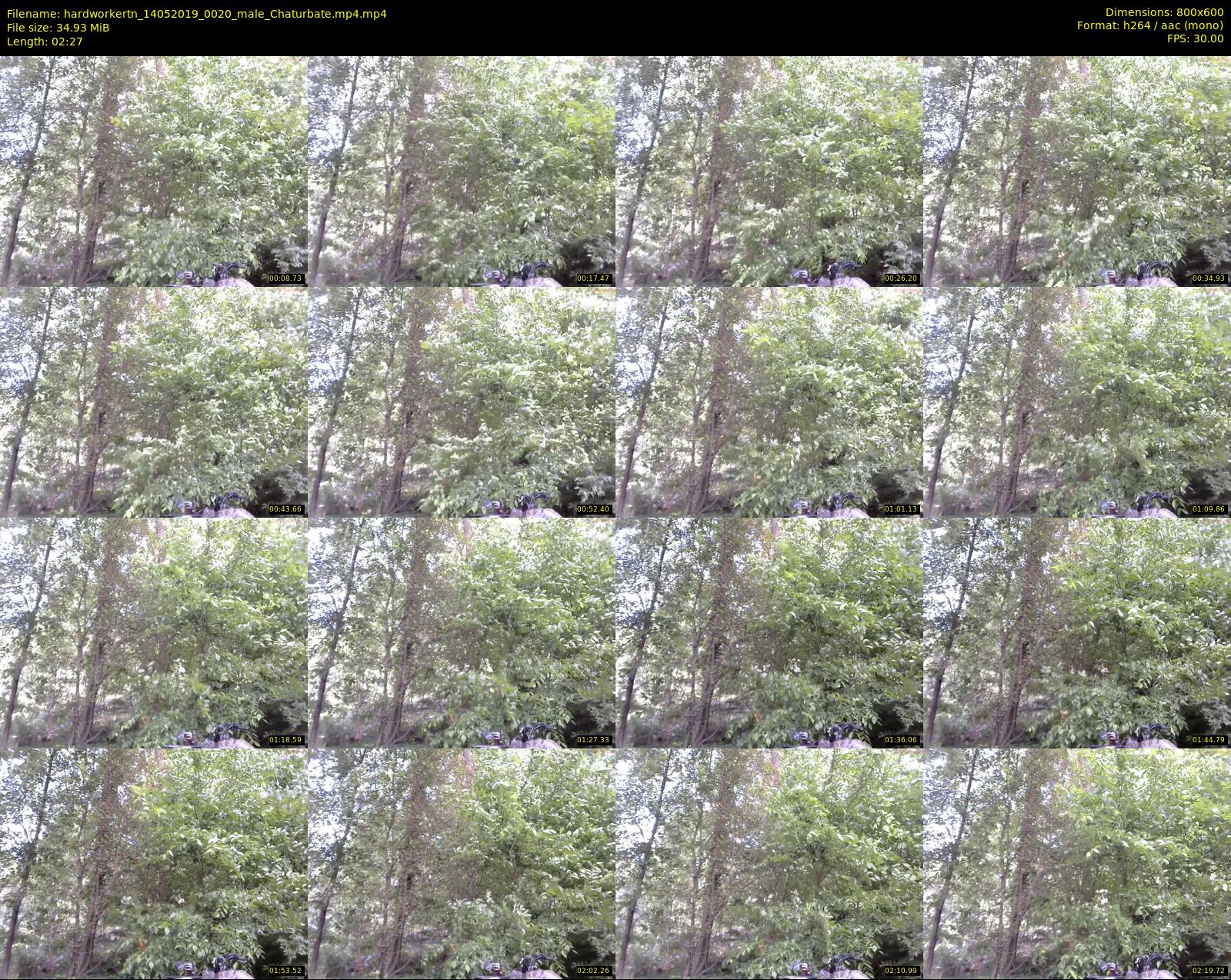hardworkertn — 3 minute Chaturbate male cam show recording, 480p, May 14, 2019