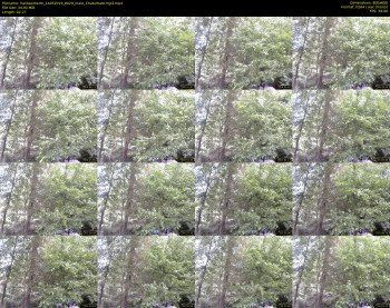 hardworkertn — 3 minute Chaturbate male cam show recording, 480p, May 14, 2019