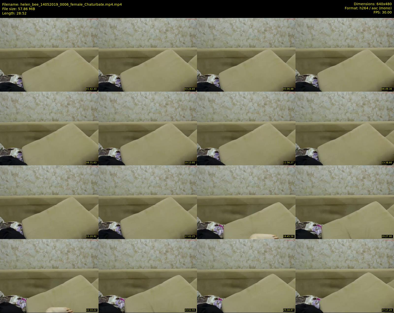 helen_bee — 29 minute Chaturbate female cam show recording, 480p, May 14, 2019