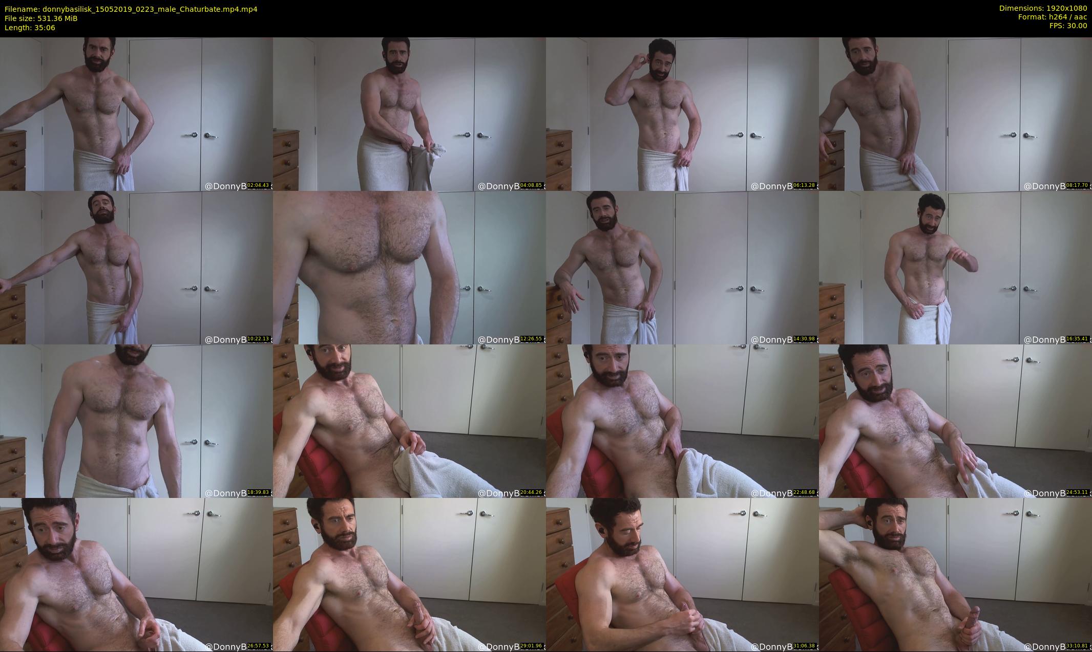 donnybasilisk — 36 minute Chaturbate male cam show recording, 1080p, May 15, 2019