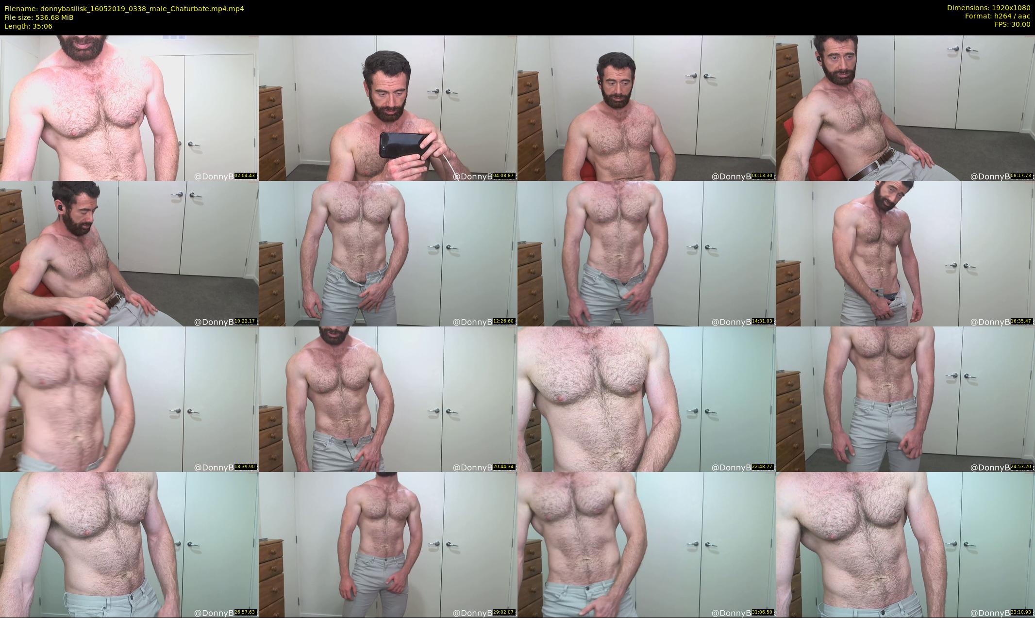 donnybasilisk — 36 minute Chaturbate male cam show recording, 1080p, May 16, 2019
