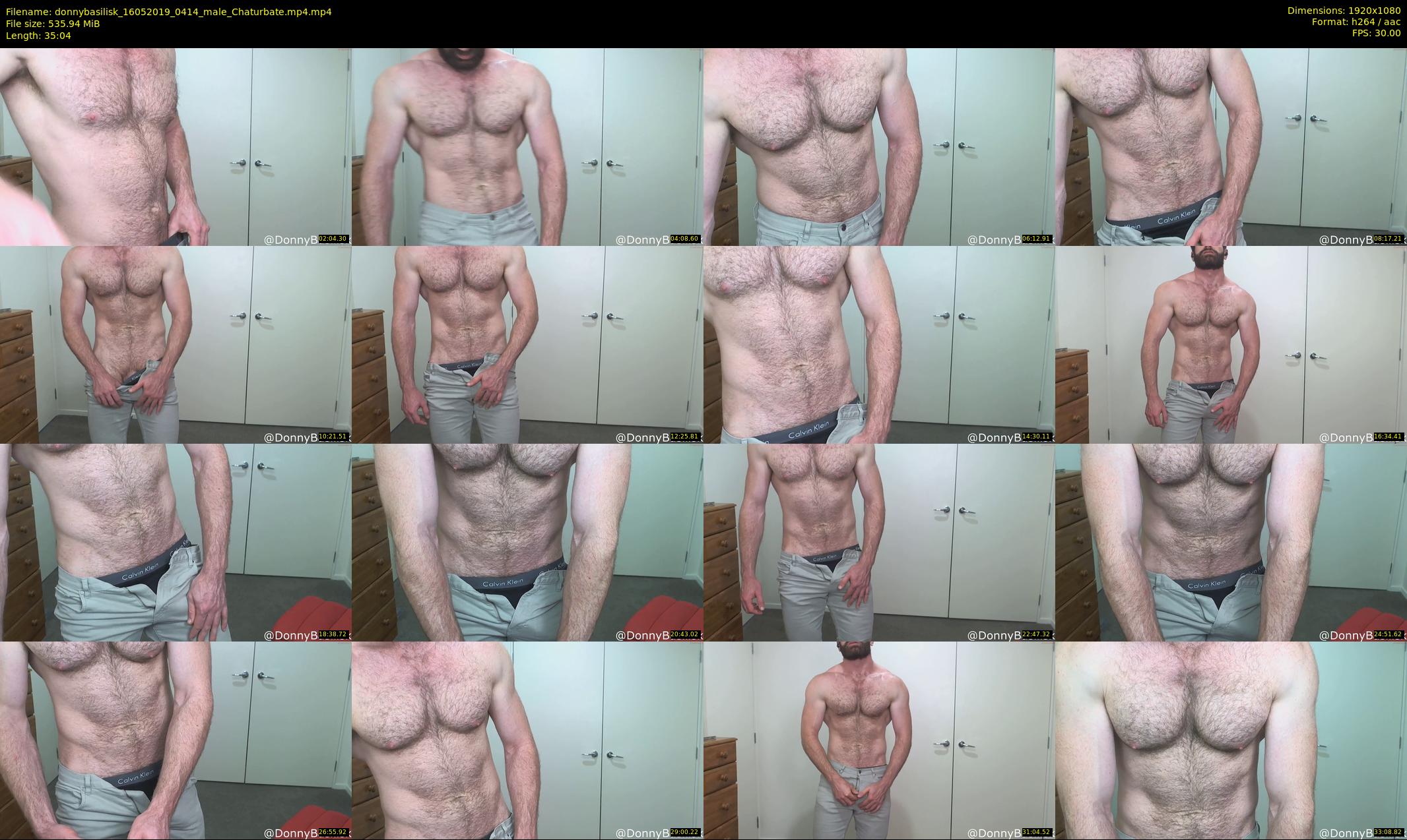 donnybasilisk — 36 minute Chaturbate male cam show recording, 1080p, May 16, 2019