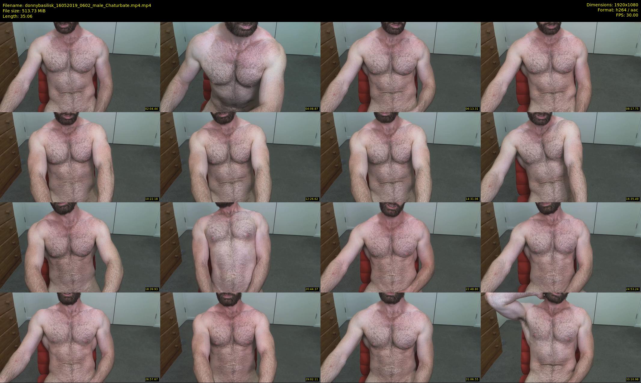 donnybasilisk — 36 minute Chaturbate male cam show recording, 1080p, May 16, 2019