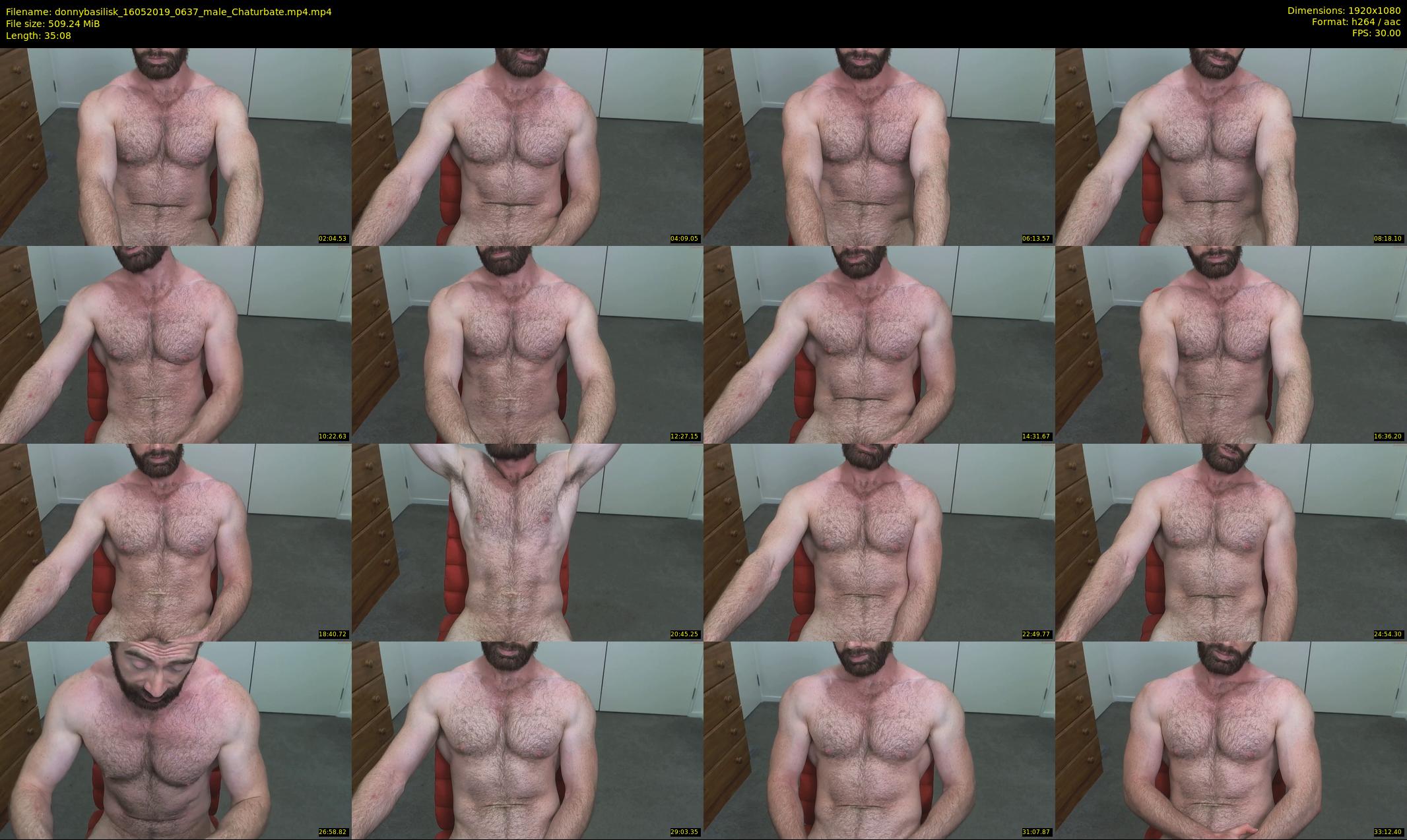 donnybasilisk — 36 minute Chaturbate male cam show recording, 1080p, May 16, 2019