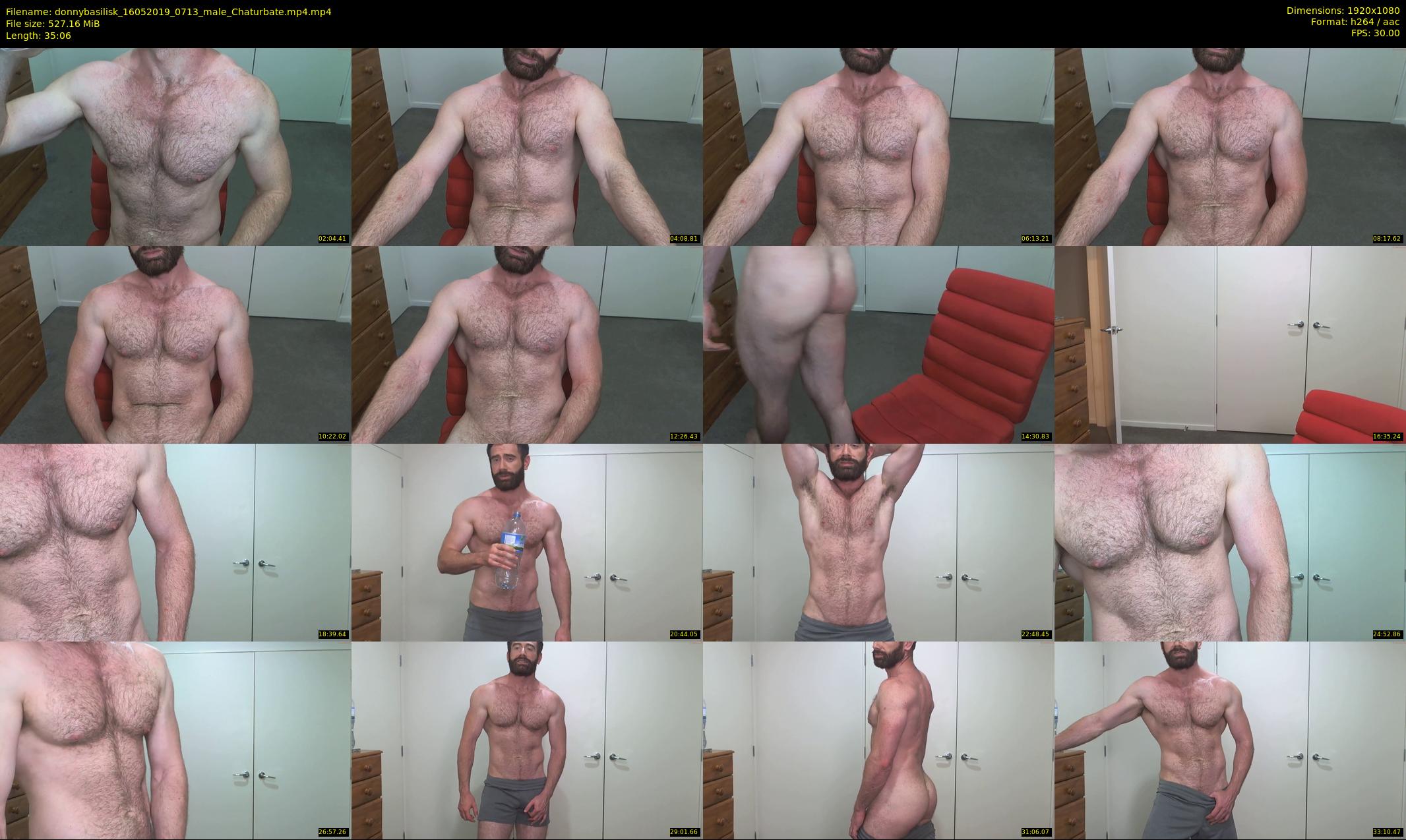 donnybasilisk — 36 minute Chaturbate male cam show recording, 1080p, May 16, 2019
