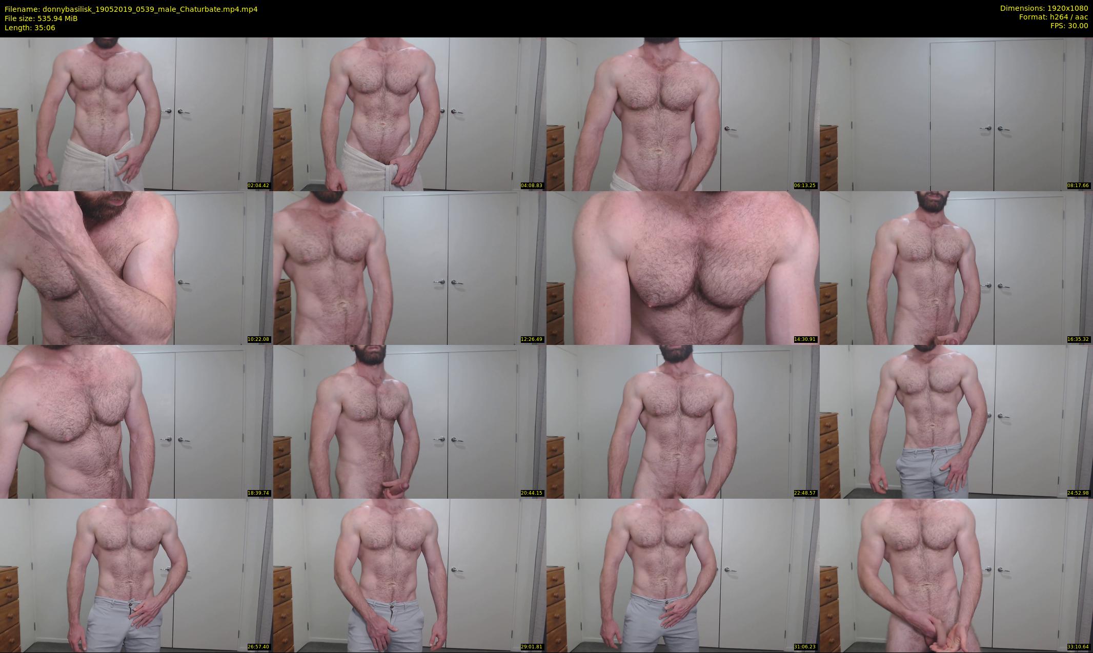 donnybasilisk — 36 minute Chaturbate male cam show recording, 1080p, May 19, 2019