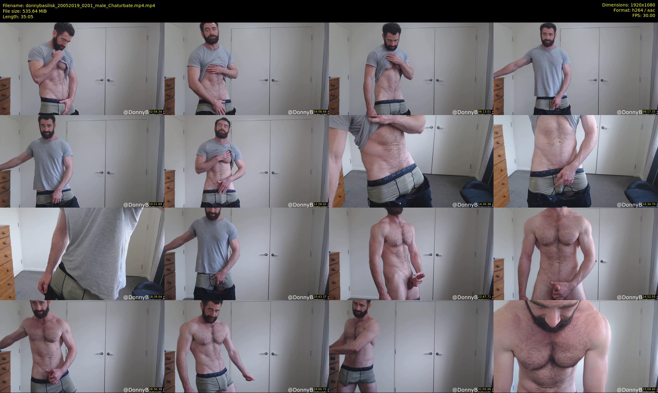 donnybasilisk — 36 minute Chaturbate male cam show recording, 1080p, May 20, 2019