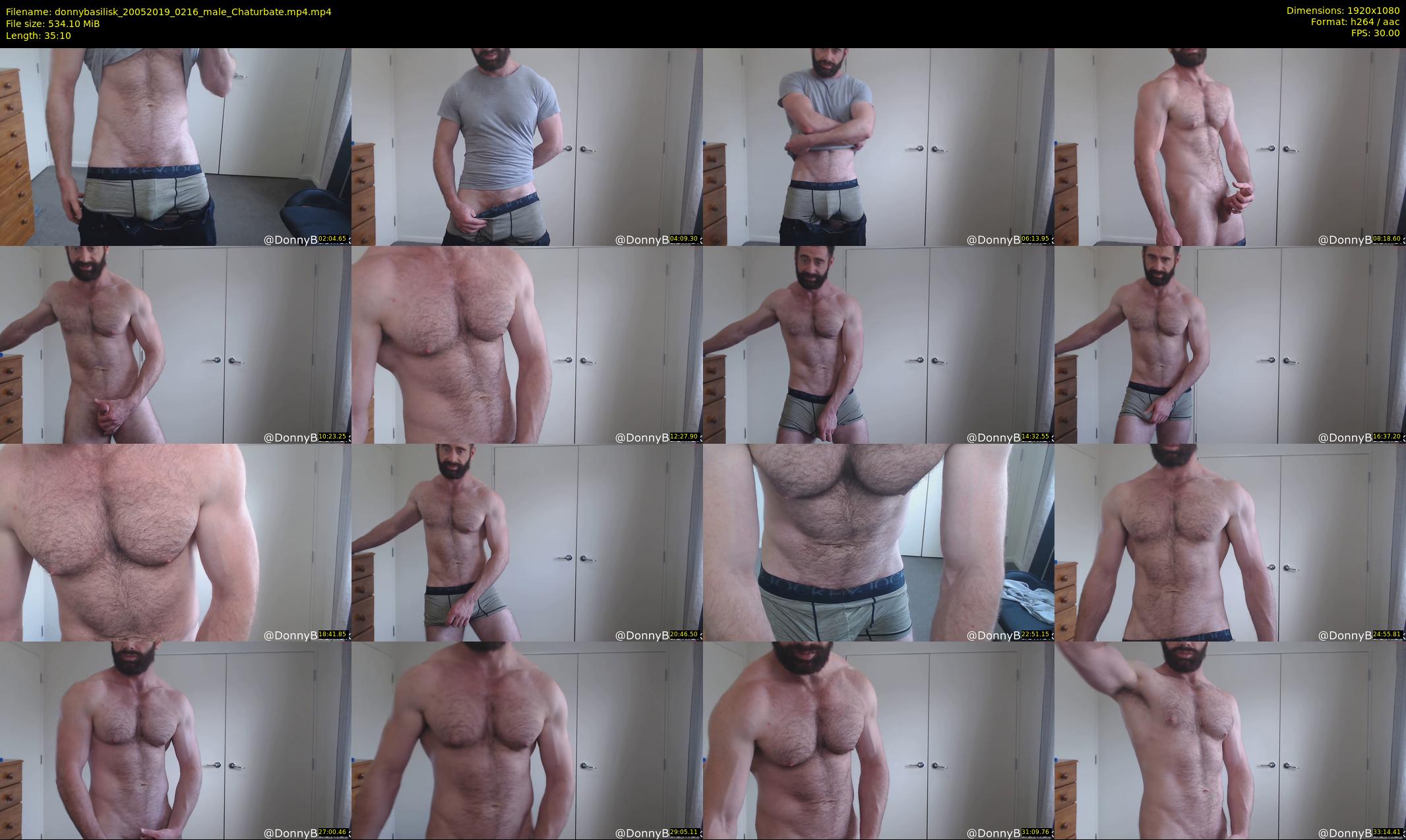donnybasilisk — 36 minute Chaturbate male cam show recording, 1080p, May 20, 2019