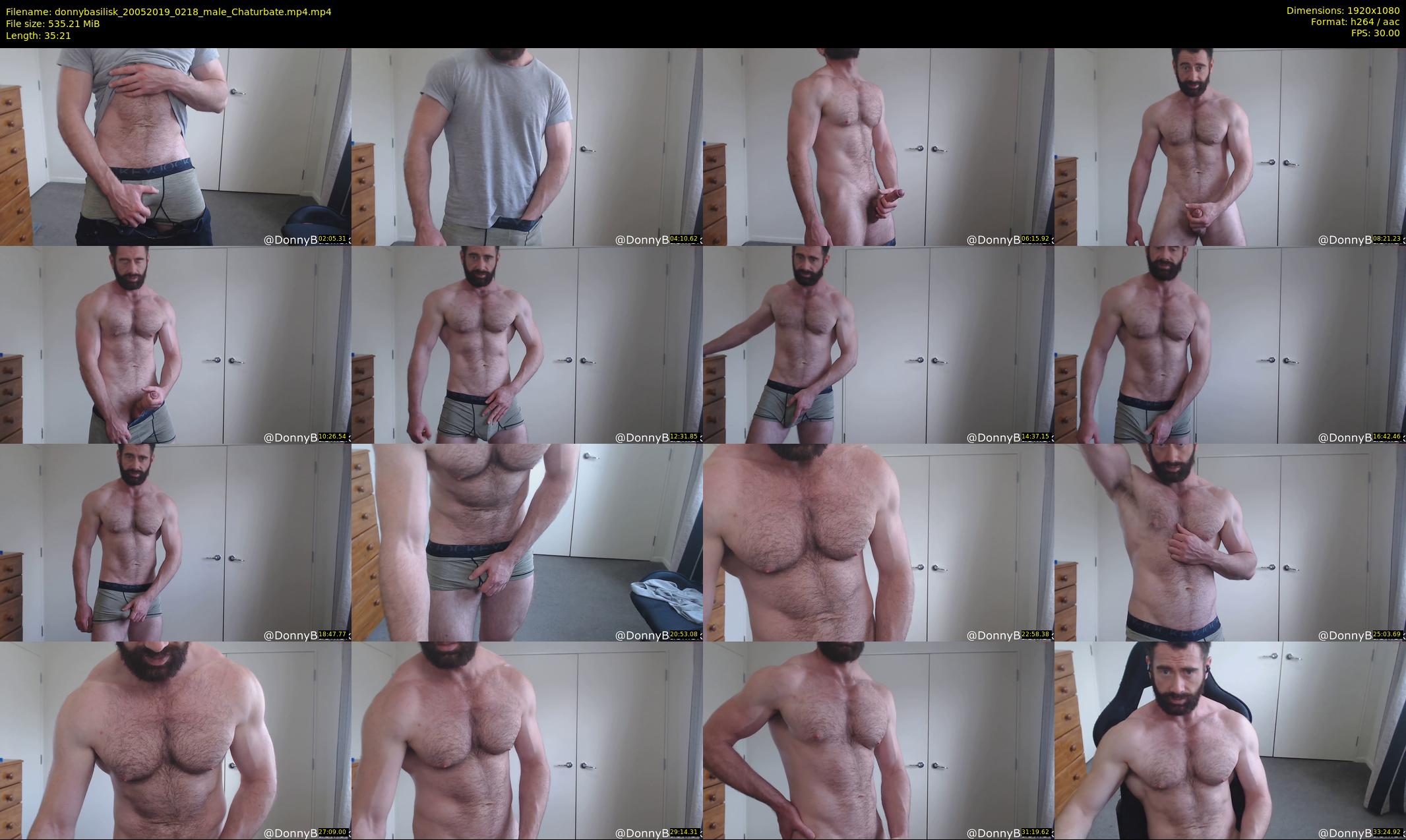 donnybasilisk — 36 minute Chaturbate male cam show recording, 1080p, May 20, 2019