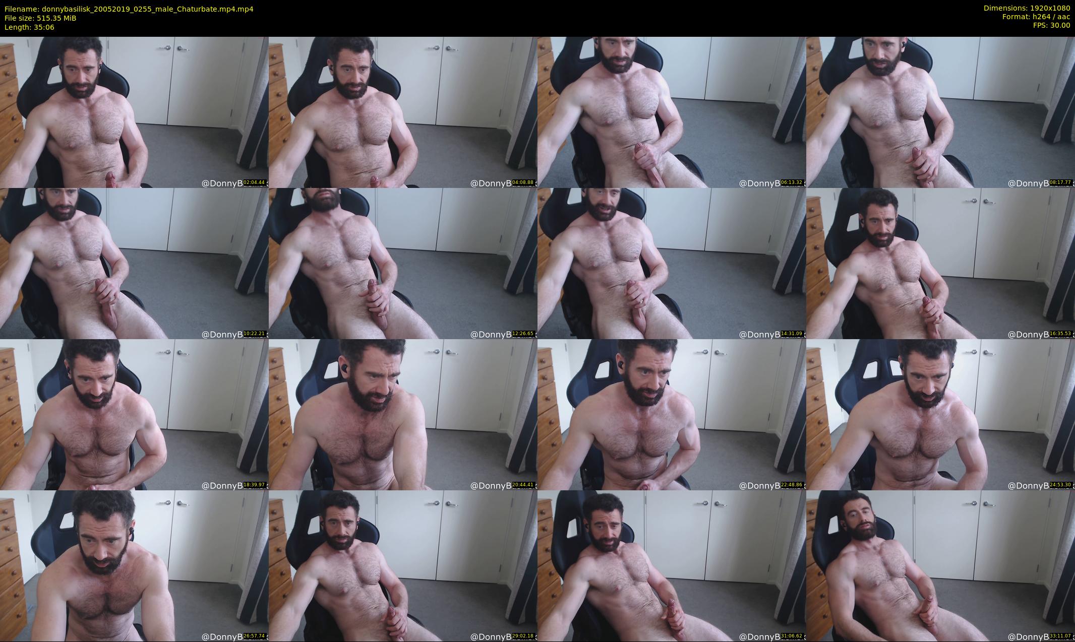 donnybasilisk — 36 minute Chaturbate male cam show recording, 1080p, May 20, 2019