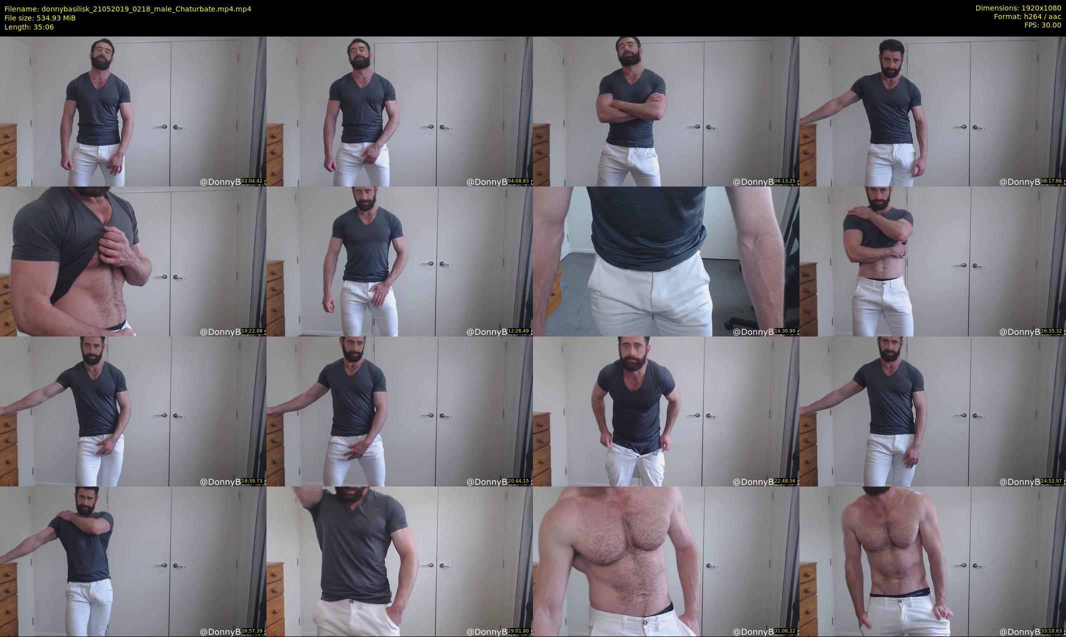 donnybasilisk — 36 minute Chaturbate male cam show recording, 1080p, May 21, 2019