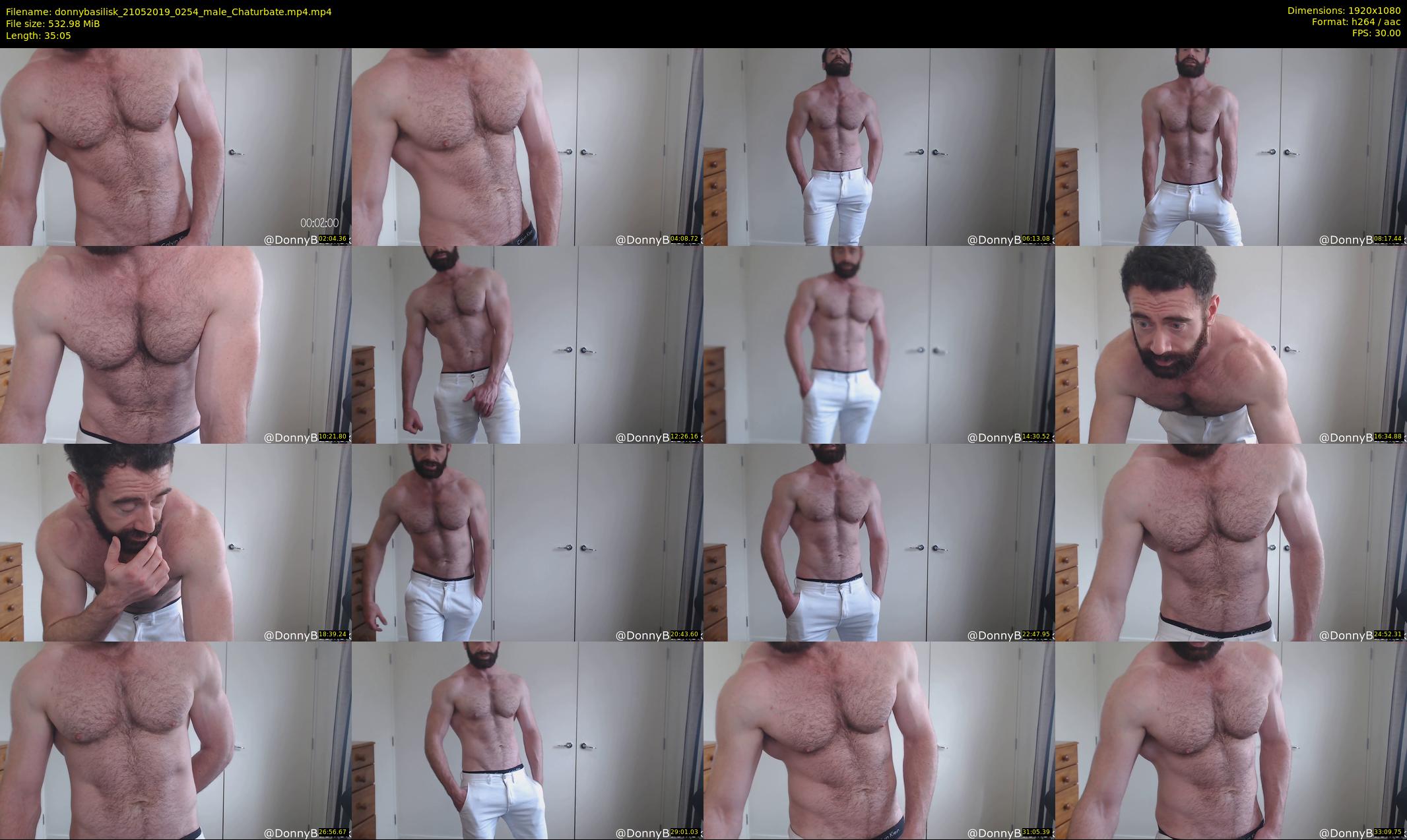 donnybasilisk — 36 minute Chaturbate male cam show recording, 1080p, May 21, 2019
