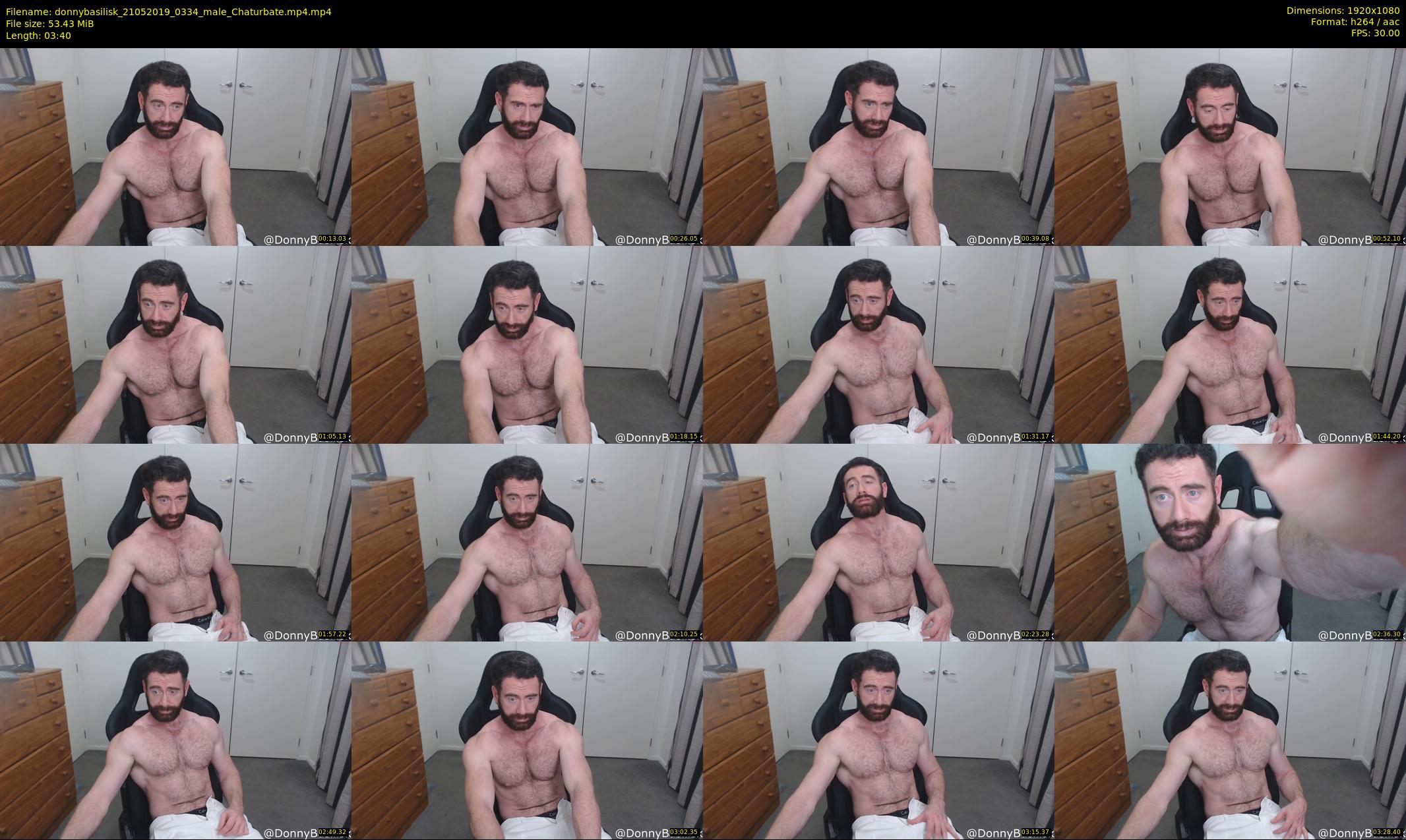 donnybasilisk — 4 minute Chaturbate male cam show recording, 1080p, May 21, 2019