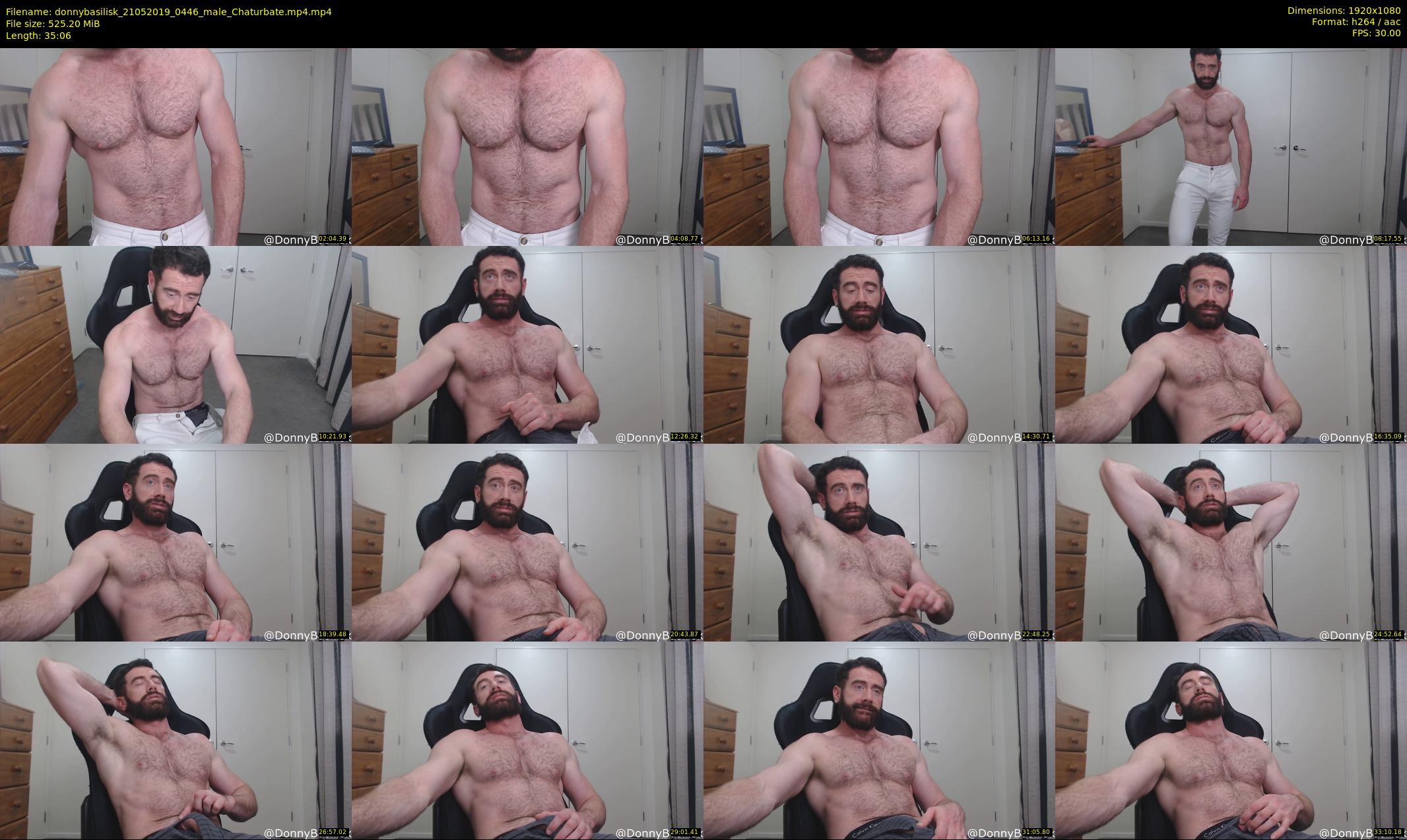 donnybasilisk — 36 minute Chaturbate male cam show recording, 1080p, May 21, 2019