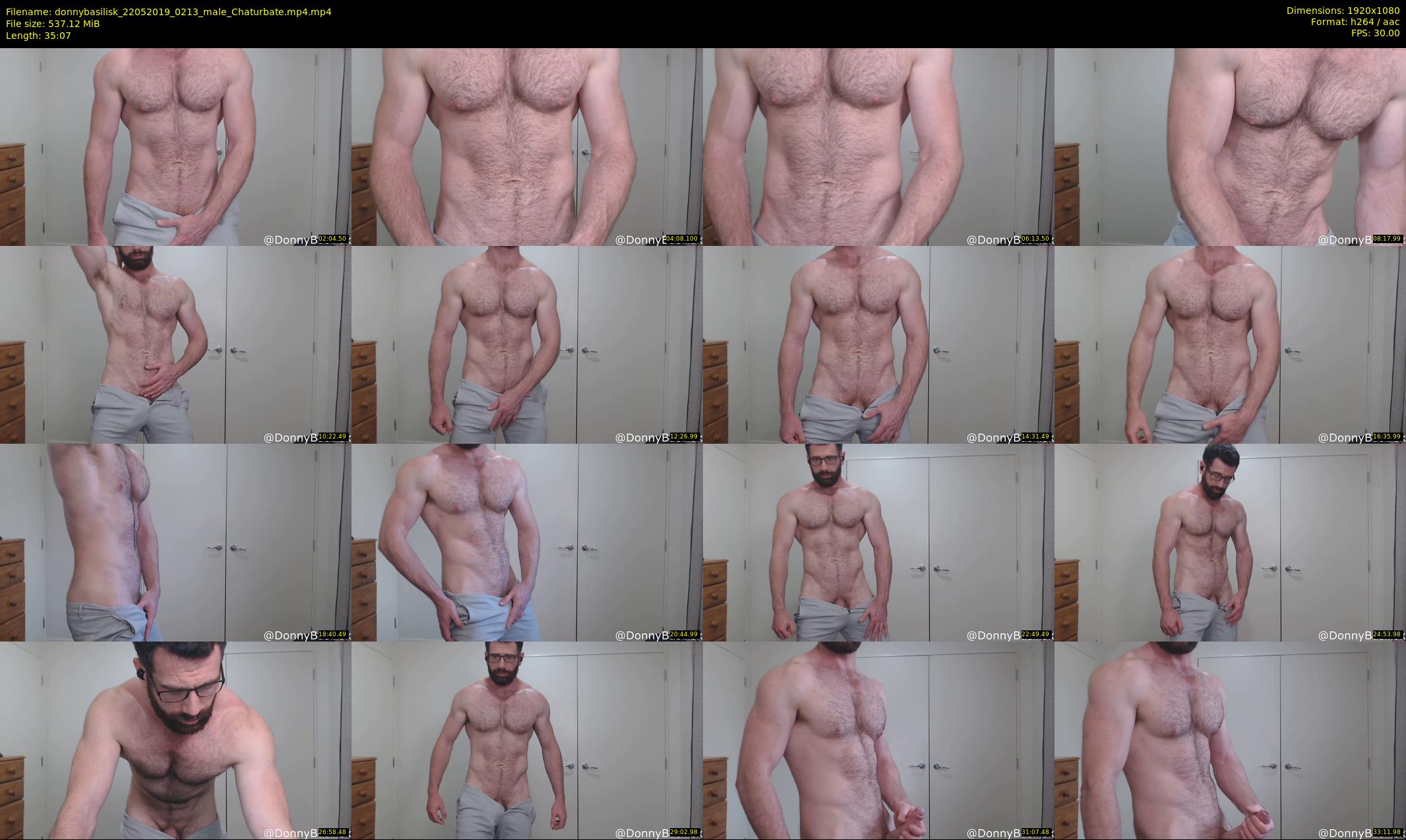 donnybasilisk — 36 minute Chaturbate male cam show recording, 1080p, May 22, 2019