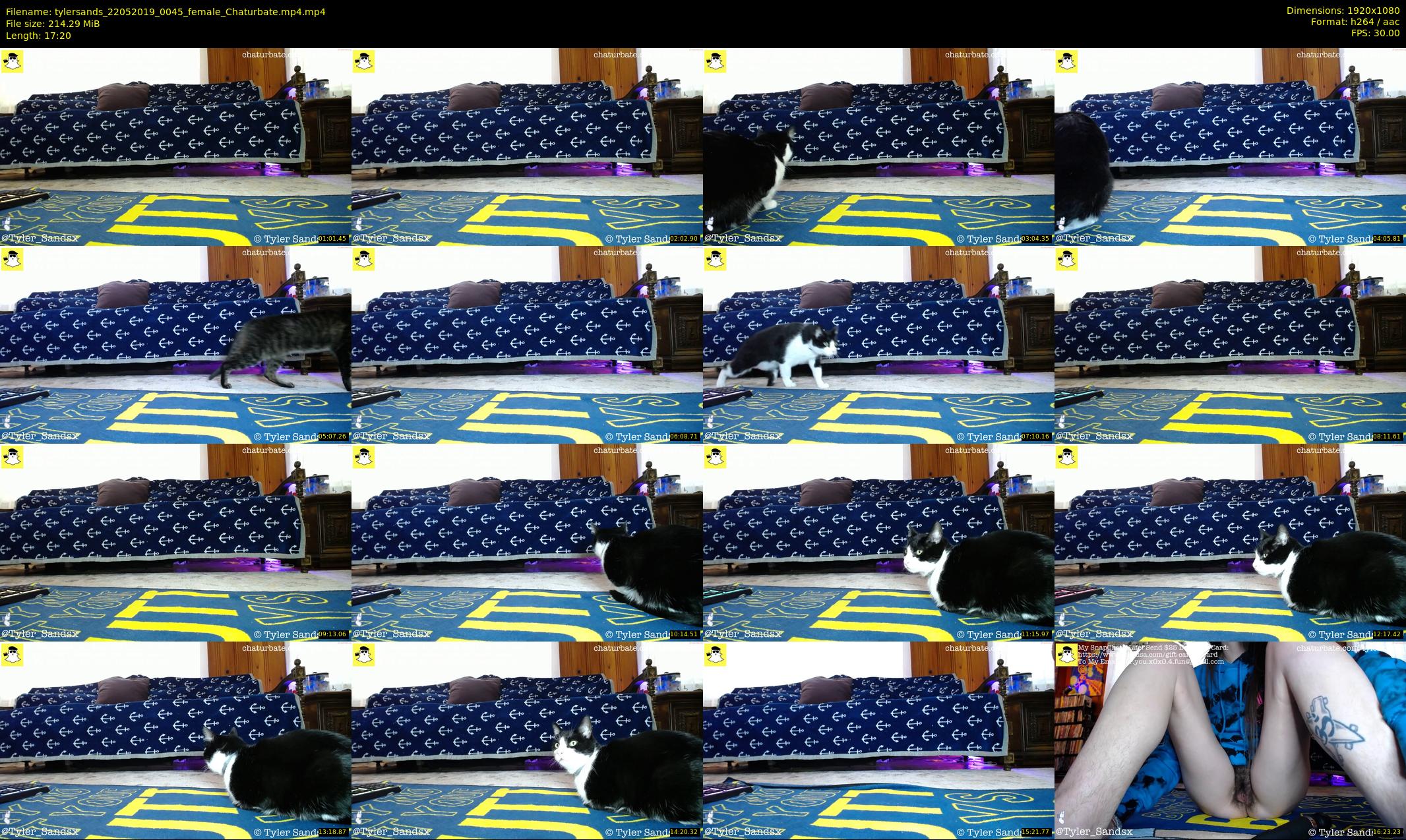 tylersands — 18 minute Chaturbate female cam show recording, 1080p, May 22, 2019