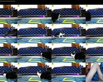 tylersands — 18 minute Chaturbate female cam show recording, 1080p, May 22, 2019