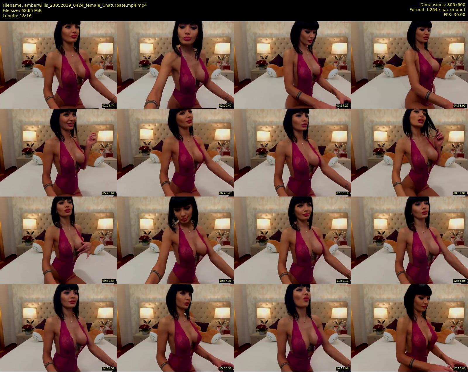 amberwillis — 19 minute Chaturbate female cam show recording, 480p, May 23, 2019