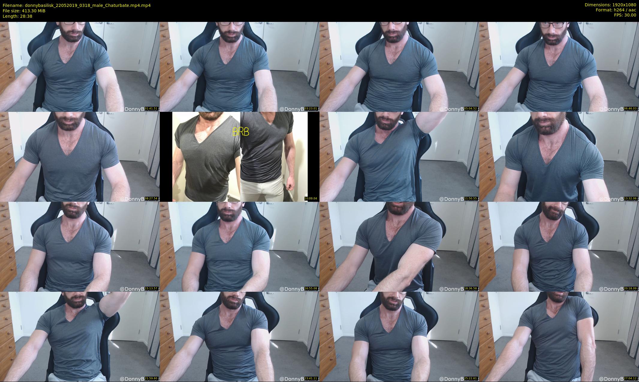 donnybasilisk — 29 minute Chaturbate male cam show recording, 1080p, May 22, 2019