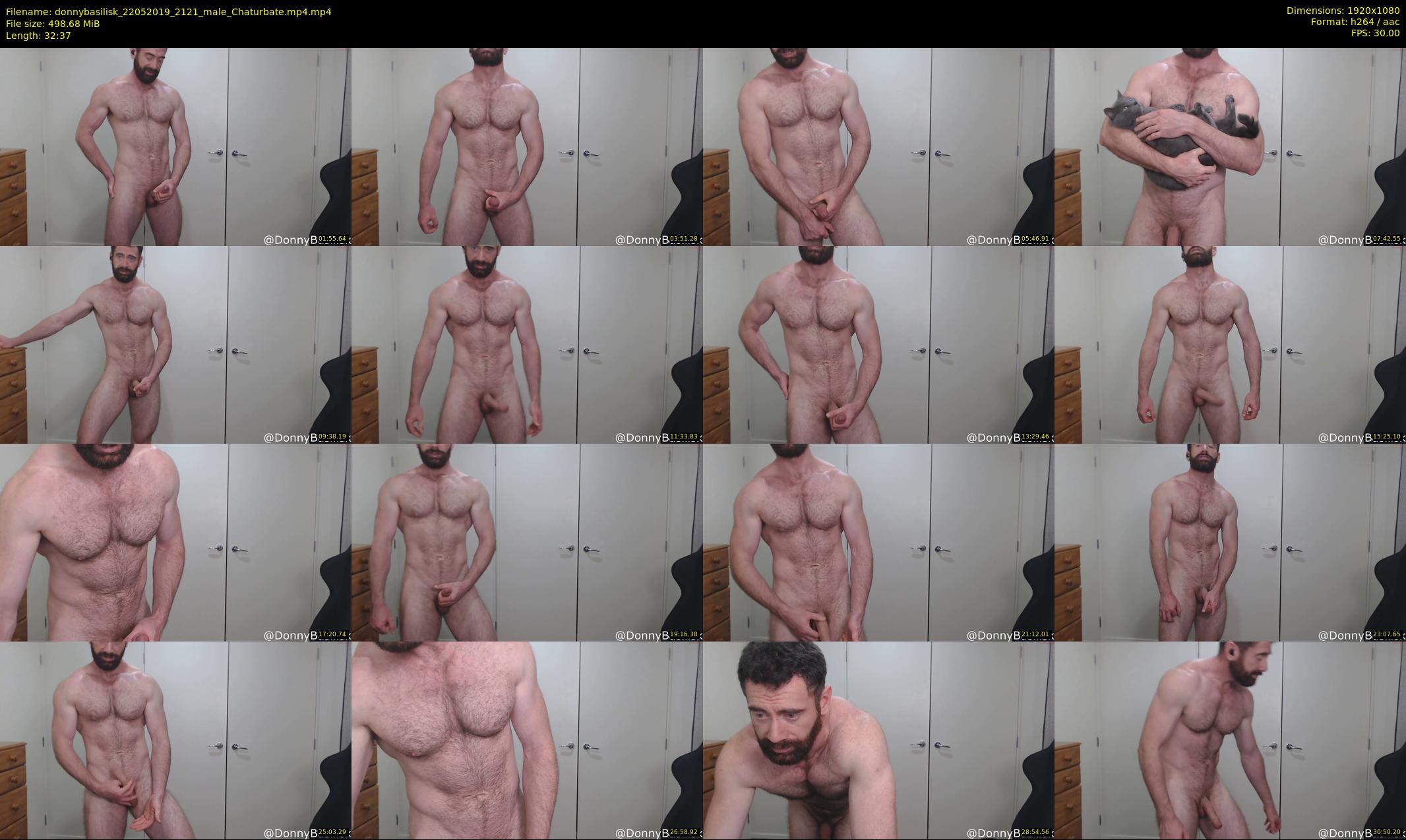 donnybasilisk — 33 minute Chaturbate male cam show recording, 1080p, May 22, 2019