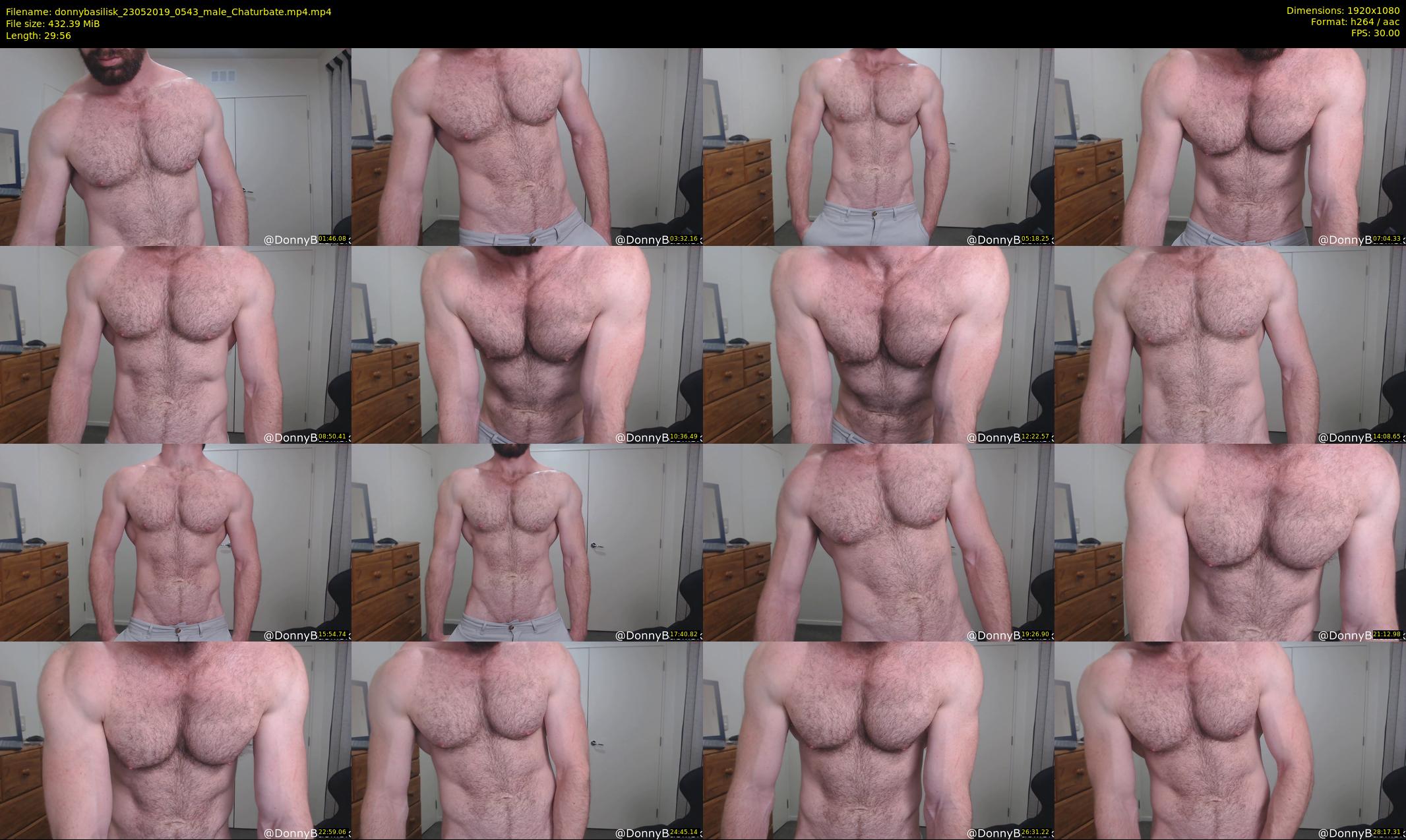 donnybasilisk — 30 minute Chaturbate male cam show recording, 1080p, May 23, 2019