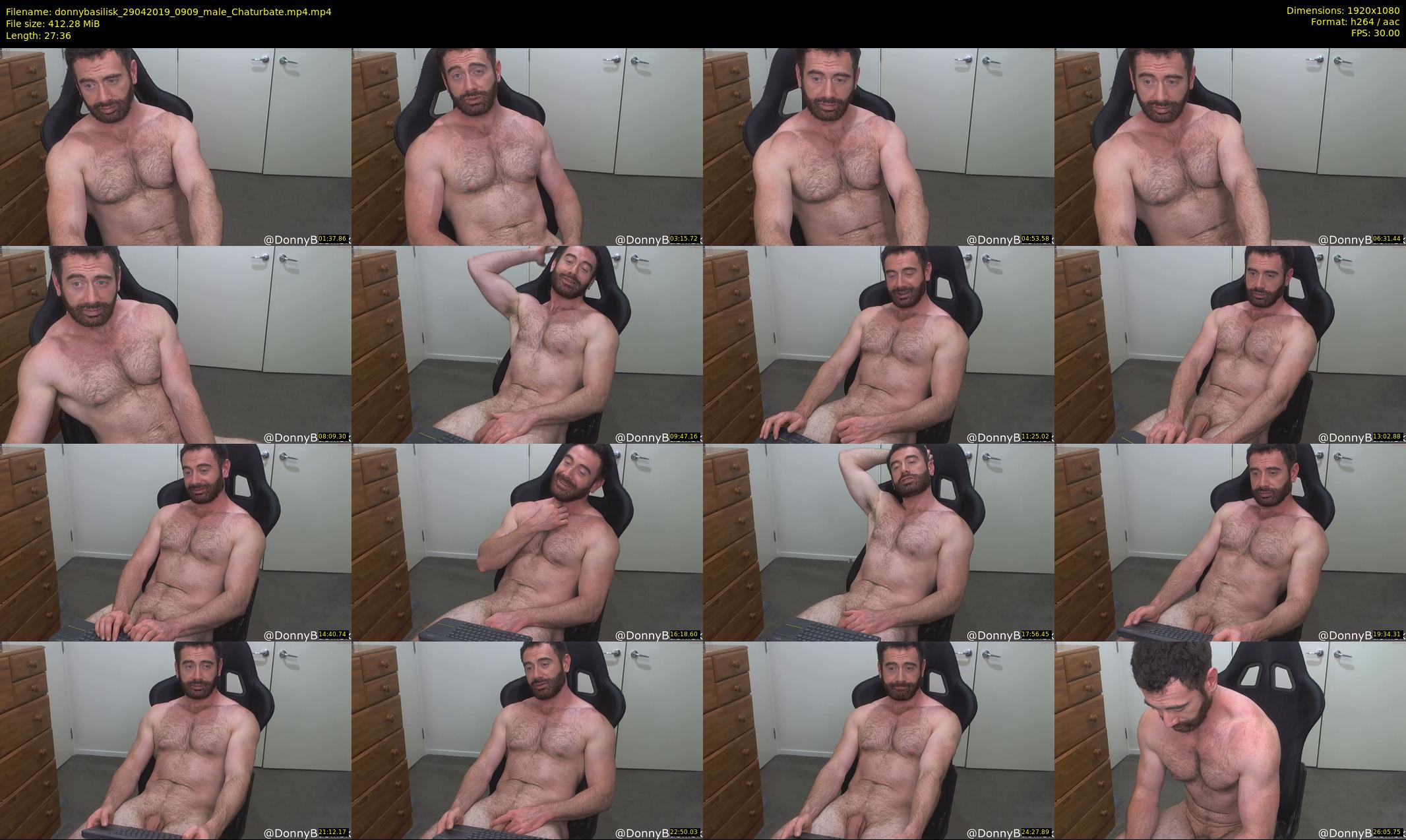 donnybasilisk — 28 minute Chaturbate male cam show recording, 1080p, Apr 29, 2019