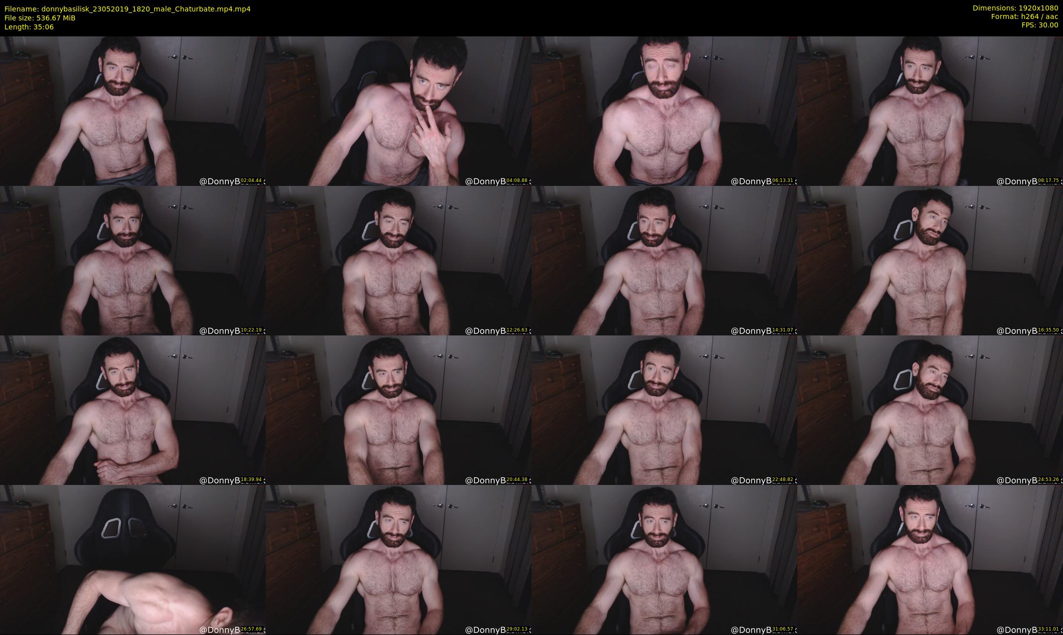 donnybasilisk — 36 minute Chaturbate male cam show recording, 1080p, May 23, 2019