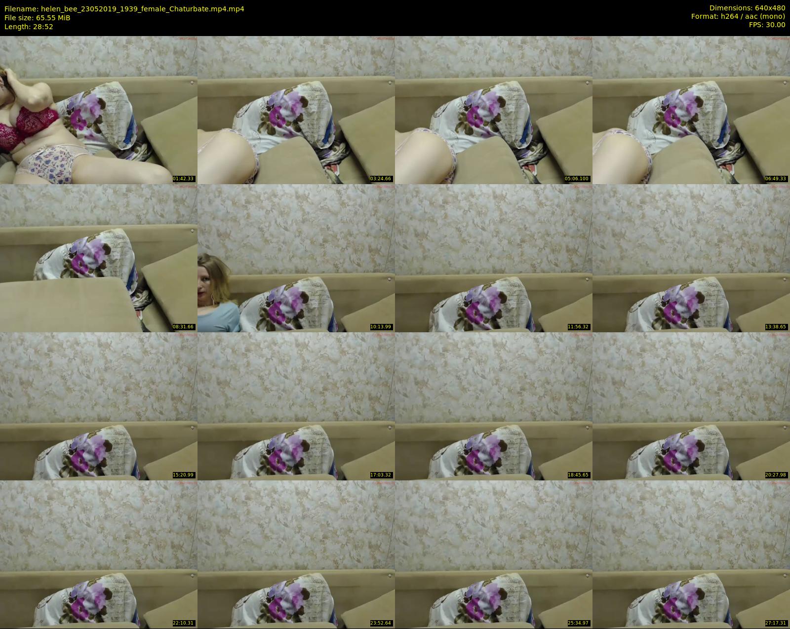 helen_bee — 29 minute Chaturbate female cam show recording, 480p, May 23, 2019
